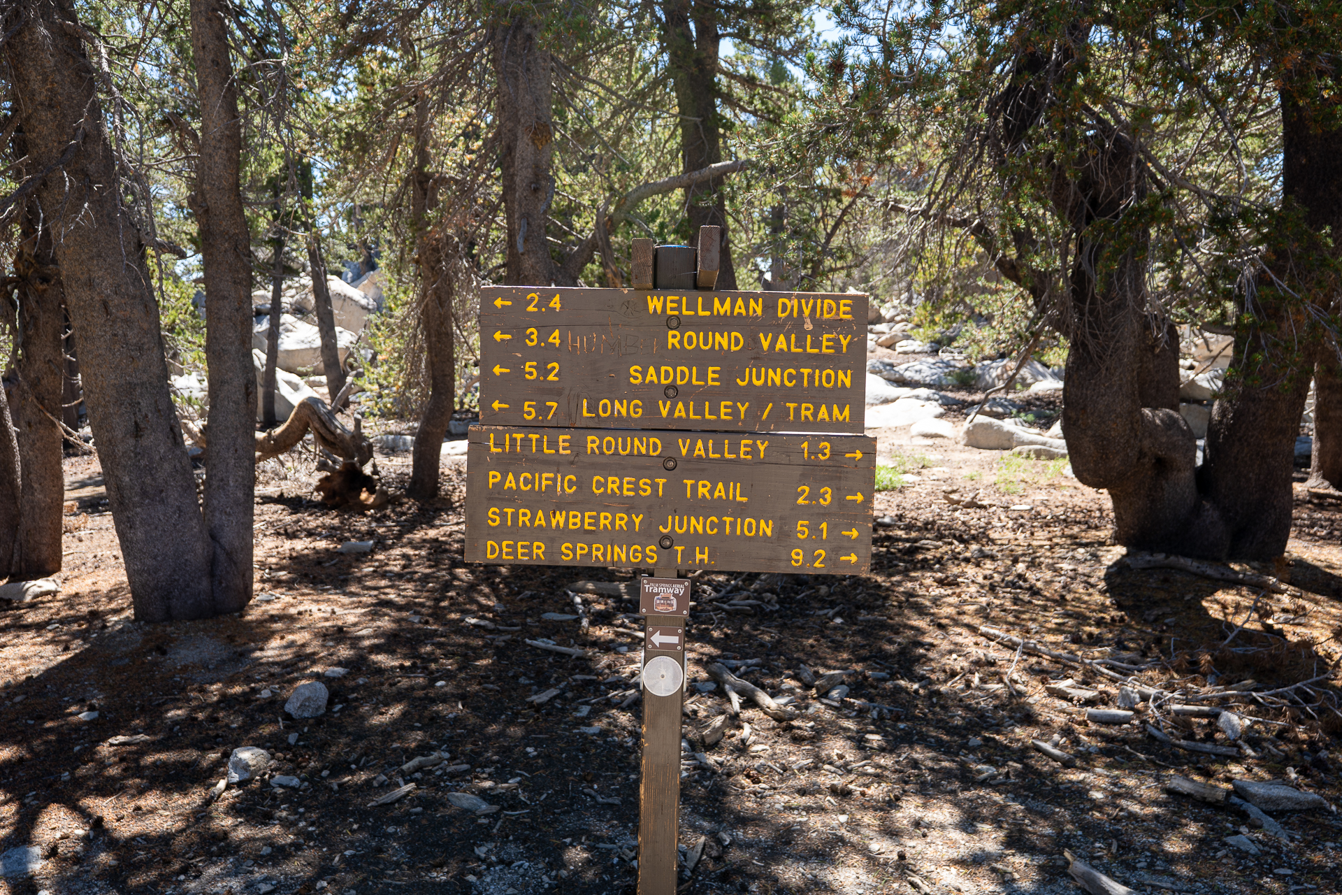 San Jacinto Mountains 10,000-foot Peaks Loop