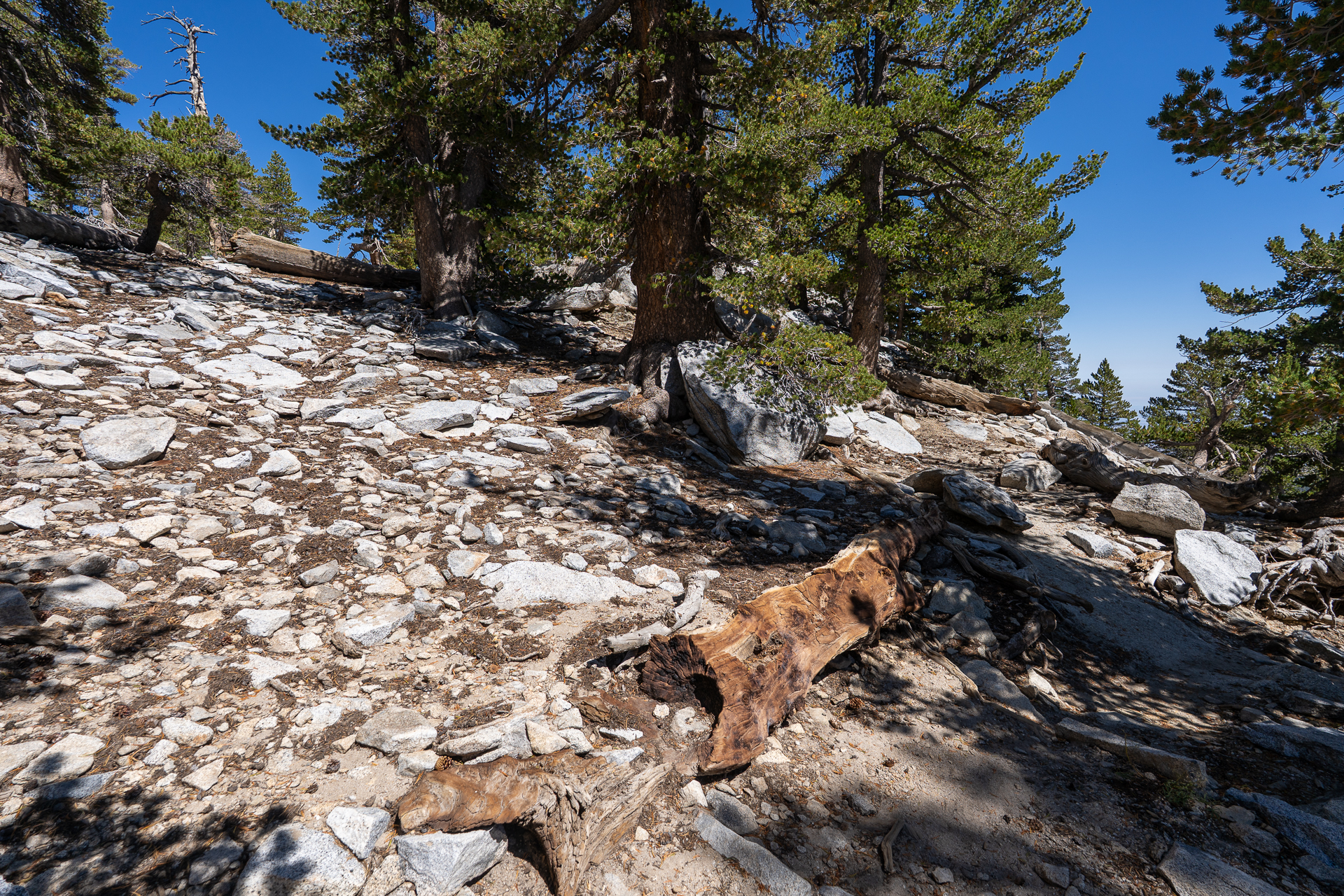 San Jacinto Mountains 10,000-foot Peaks Loop