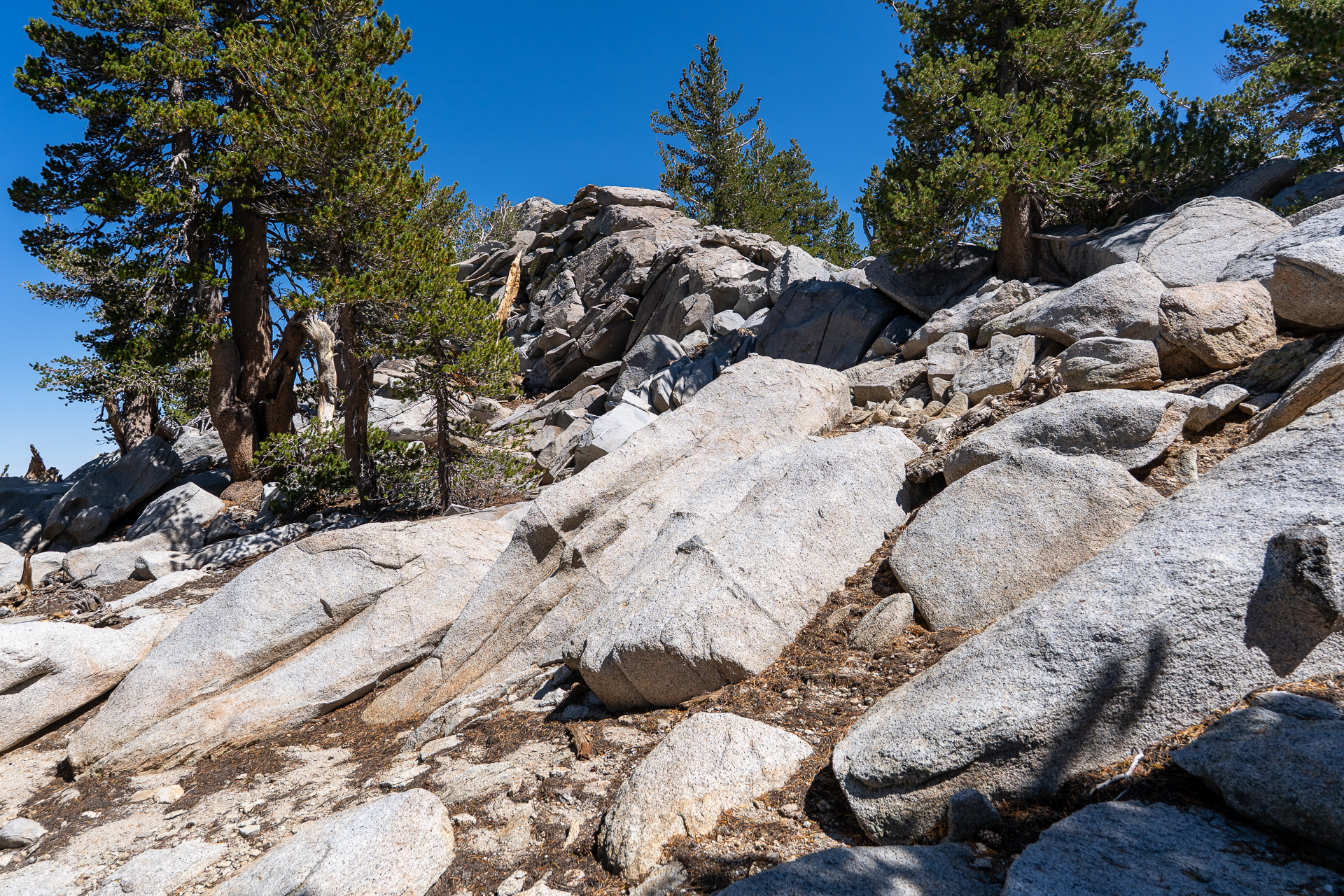 San Jacinto Mountains 10,000-foot Peaks Loop