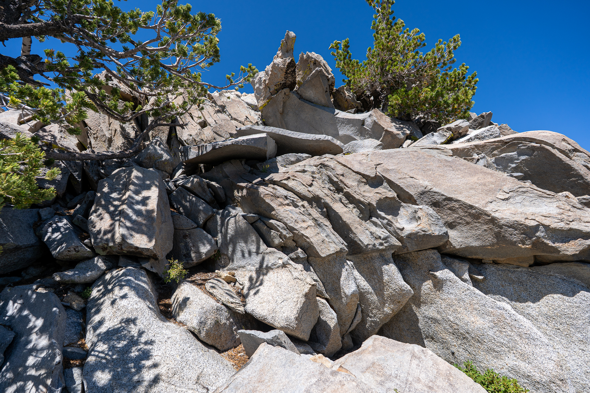 San Jacinto Mountains 10,000-foot Peaks Loop
