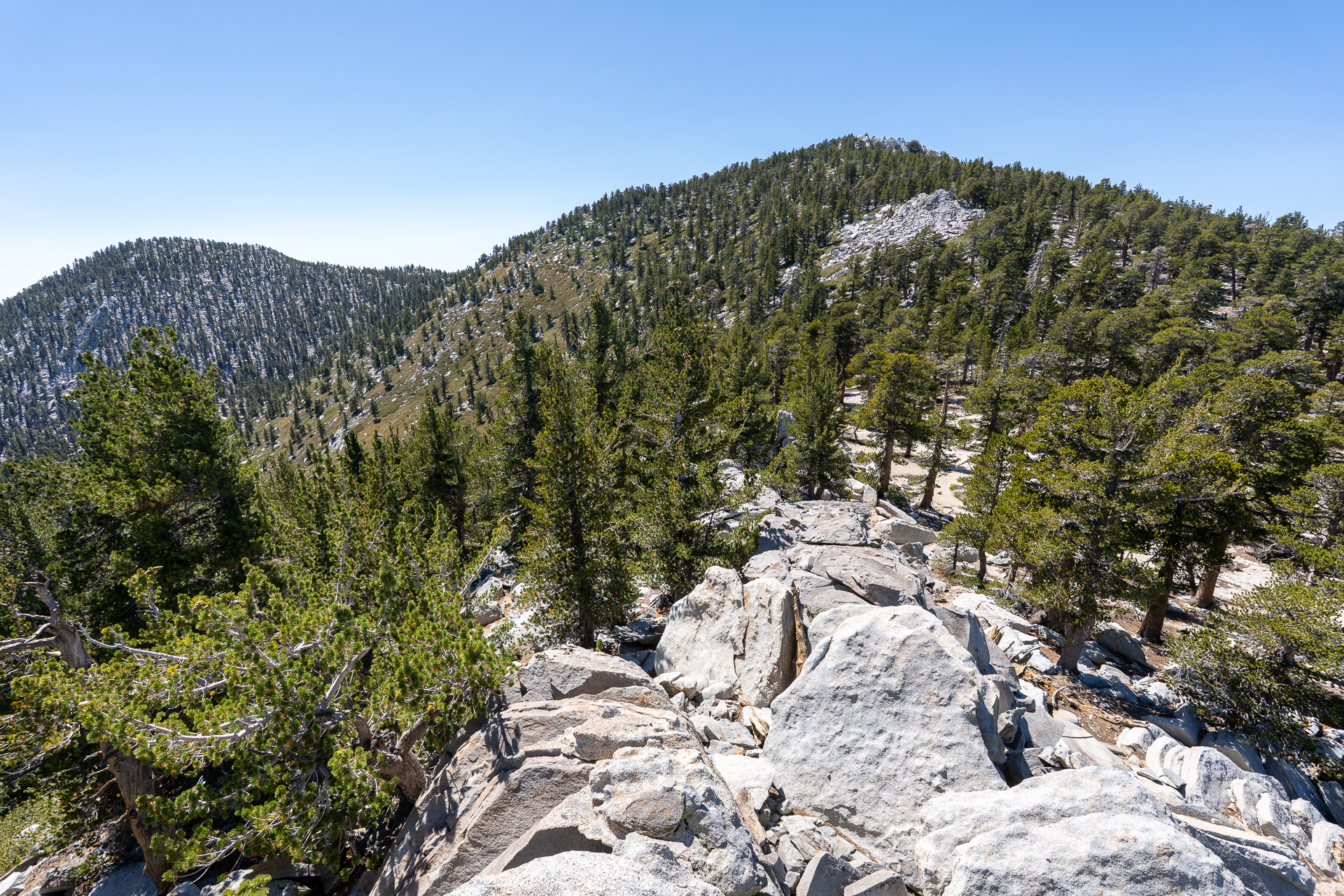 San Jacinto Mountains 10,000-foot Peaks Loop