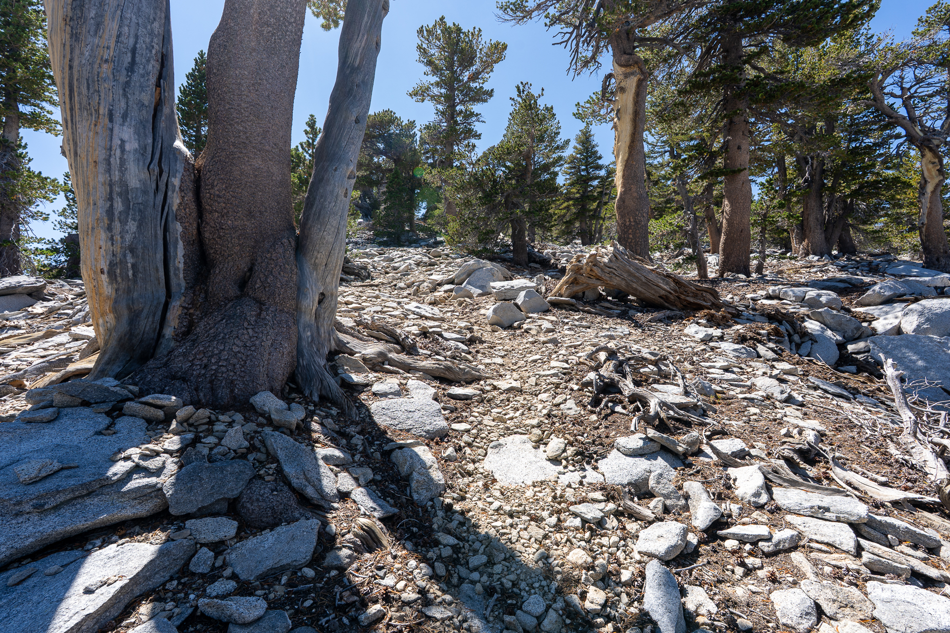 San Jacinto Mountains 10,000-foot Peaks Loop