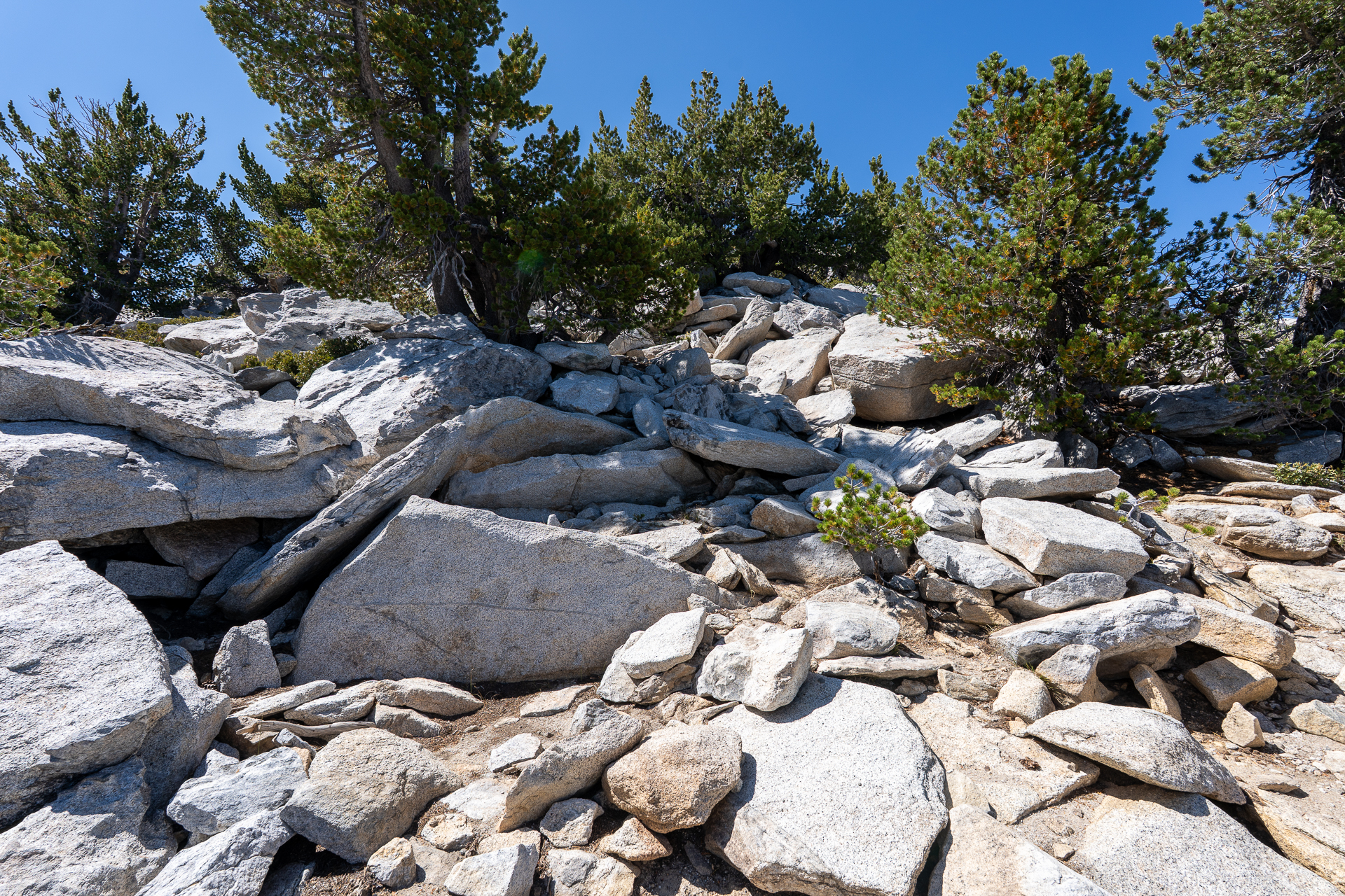 San Jacinto Mountains 10,000-foot Peaks Loop