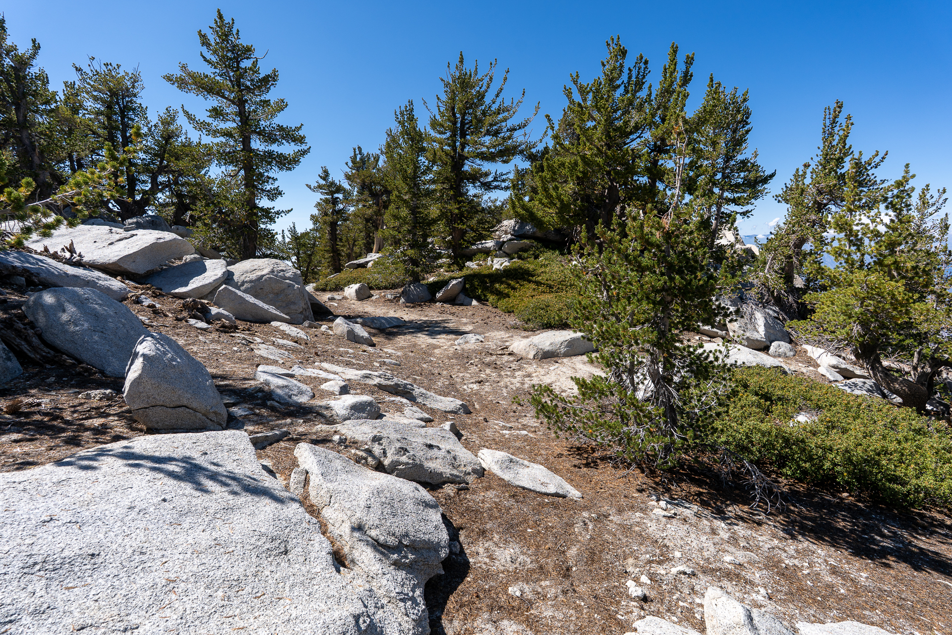 San Jacinto Mountains 10,000-foot Peaks Loop