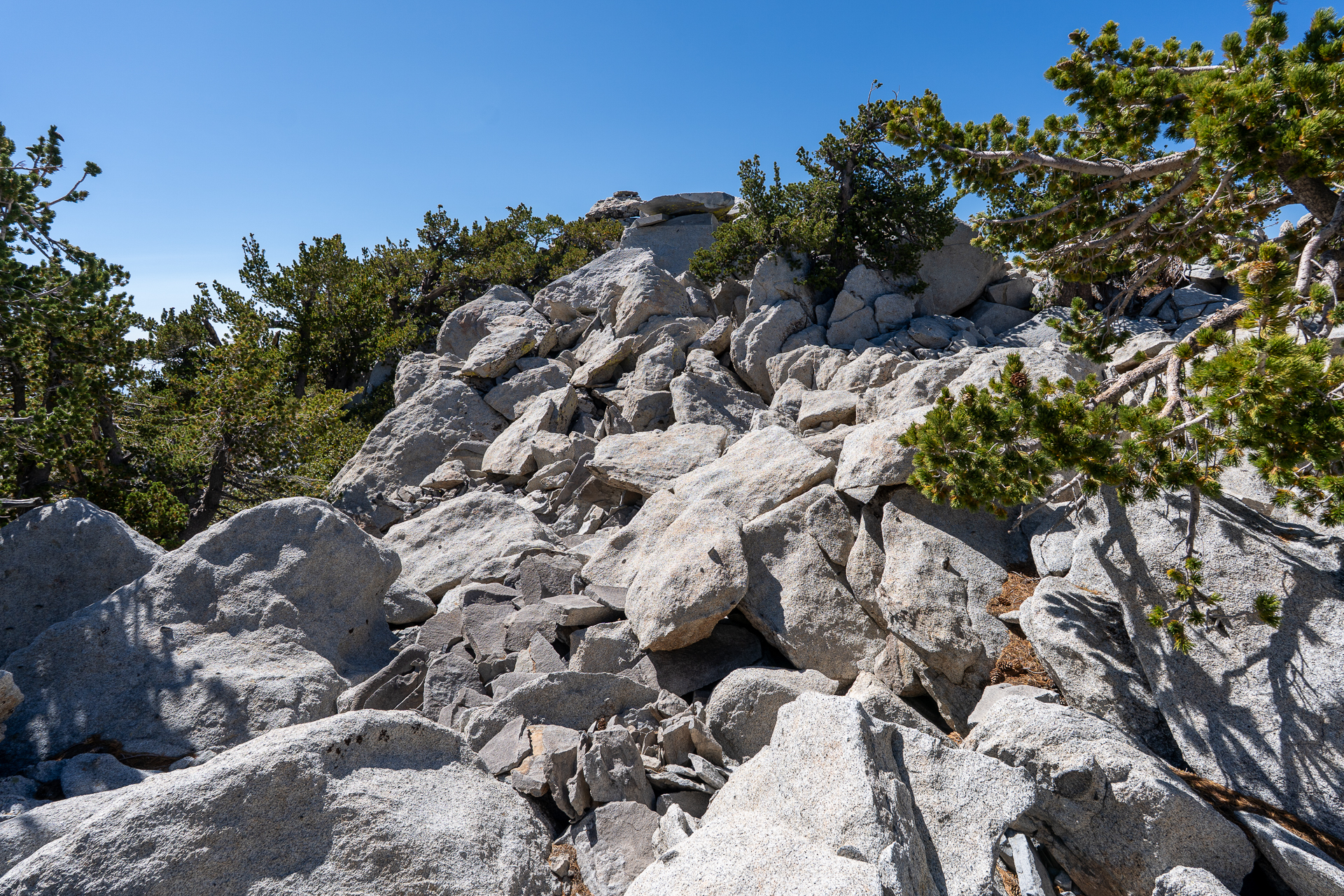 San Jacinto Mountains 10,000-foot Peaks Loop