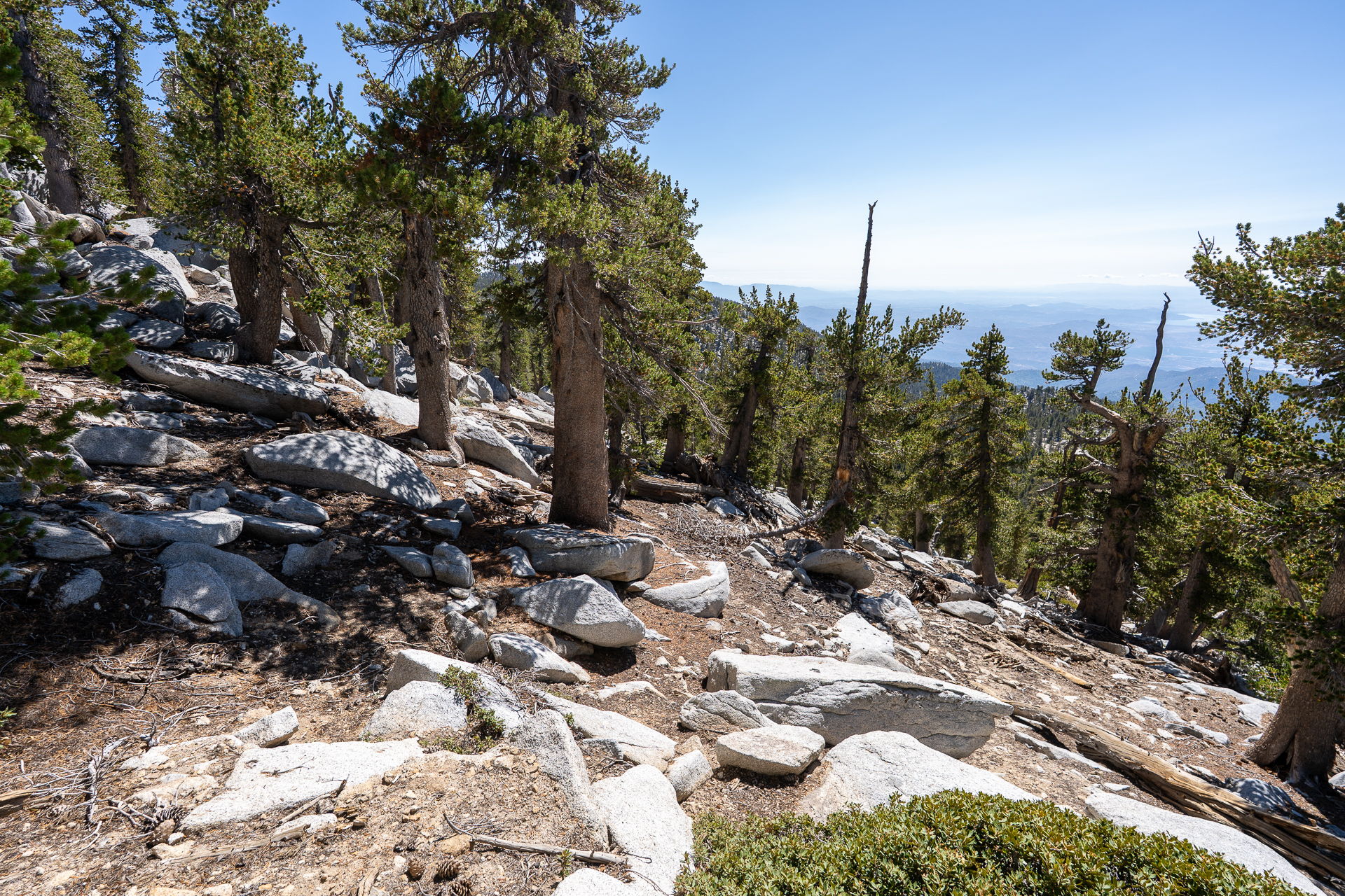 San Jacinto Mountains 10,000-foot Peaks Loop