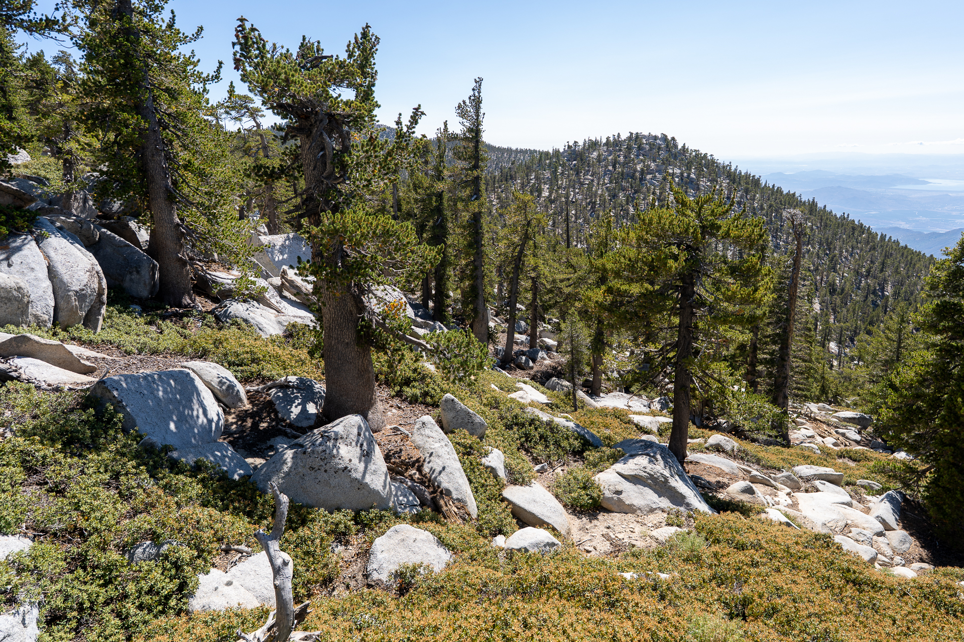 San Jacinto Mountains 10,000-foot Peaks Loop