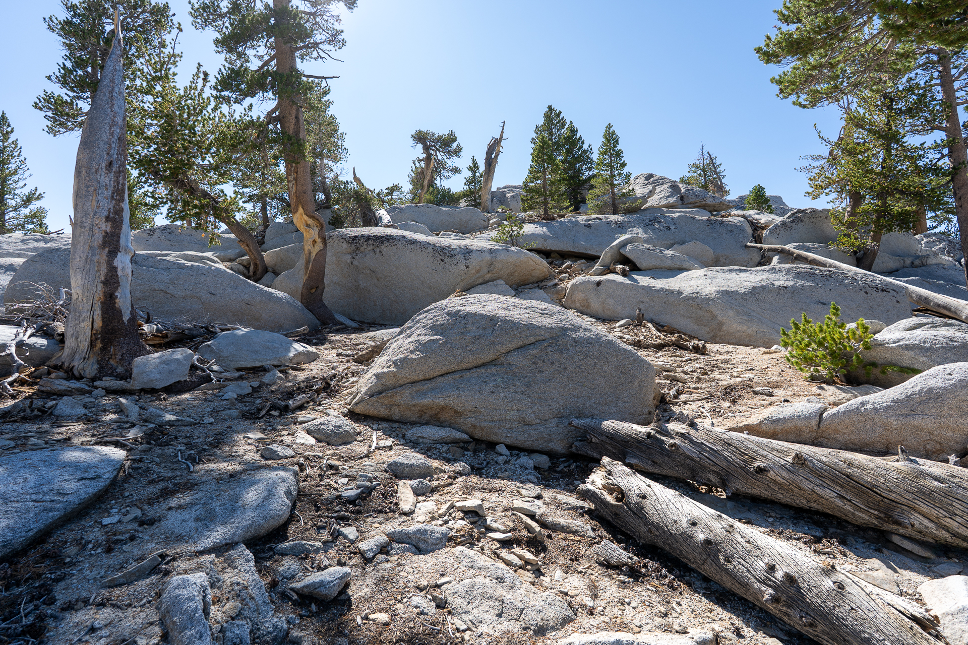 San Jacinto Mountains 10,000-foot Peaks Loop
