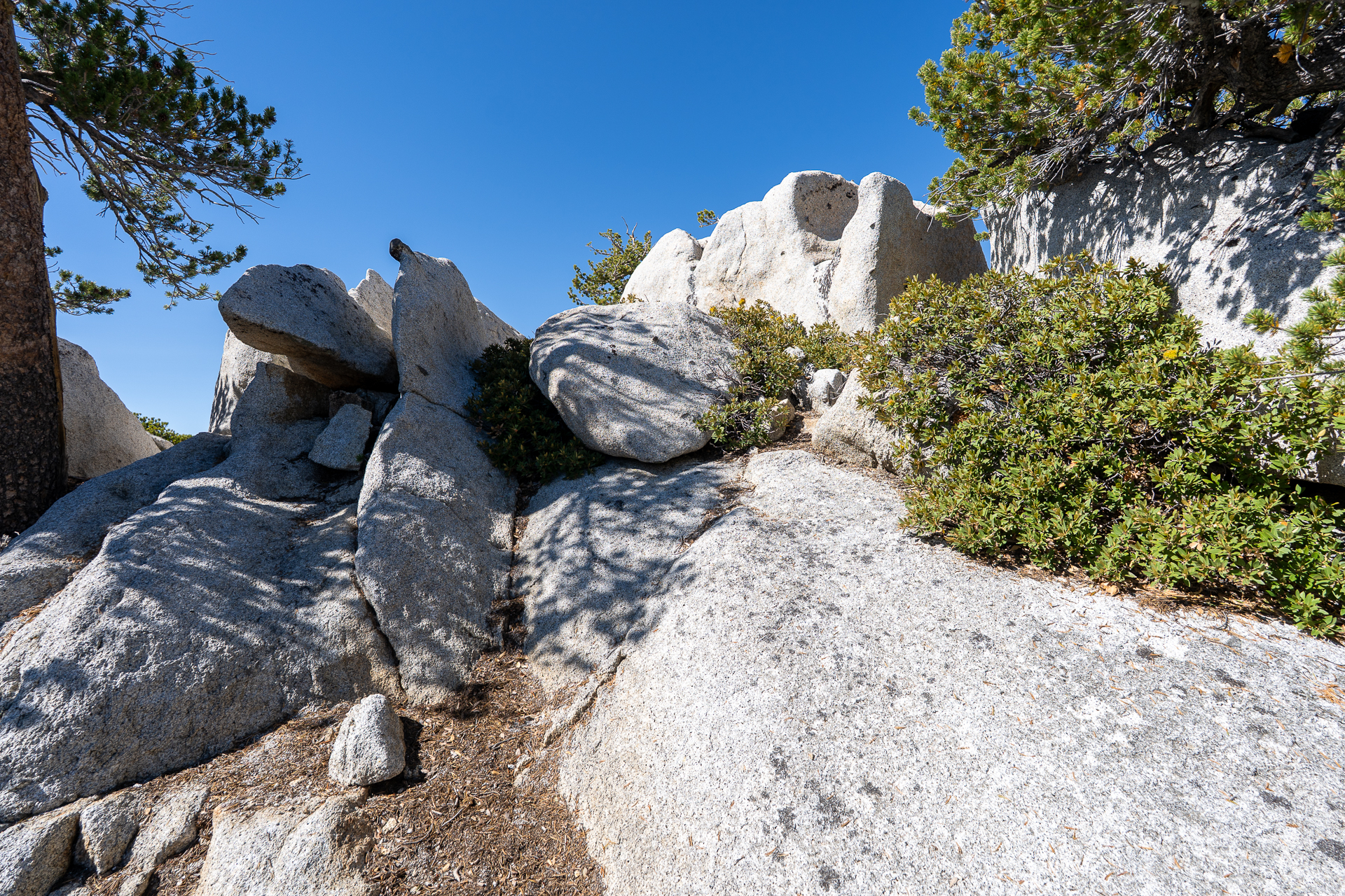 San Jacinto Mountains 10,000-foot Peaks Loop