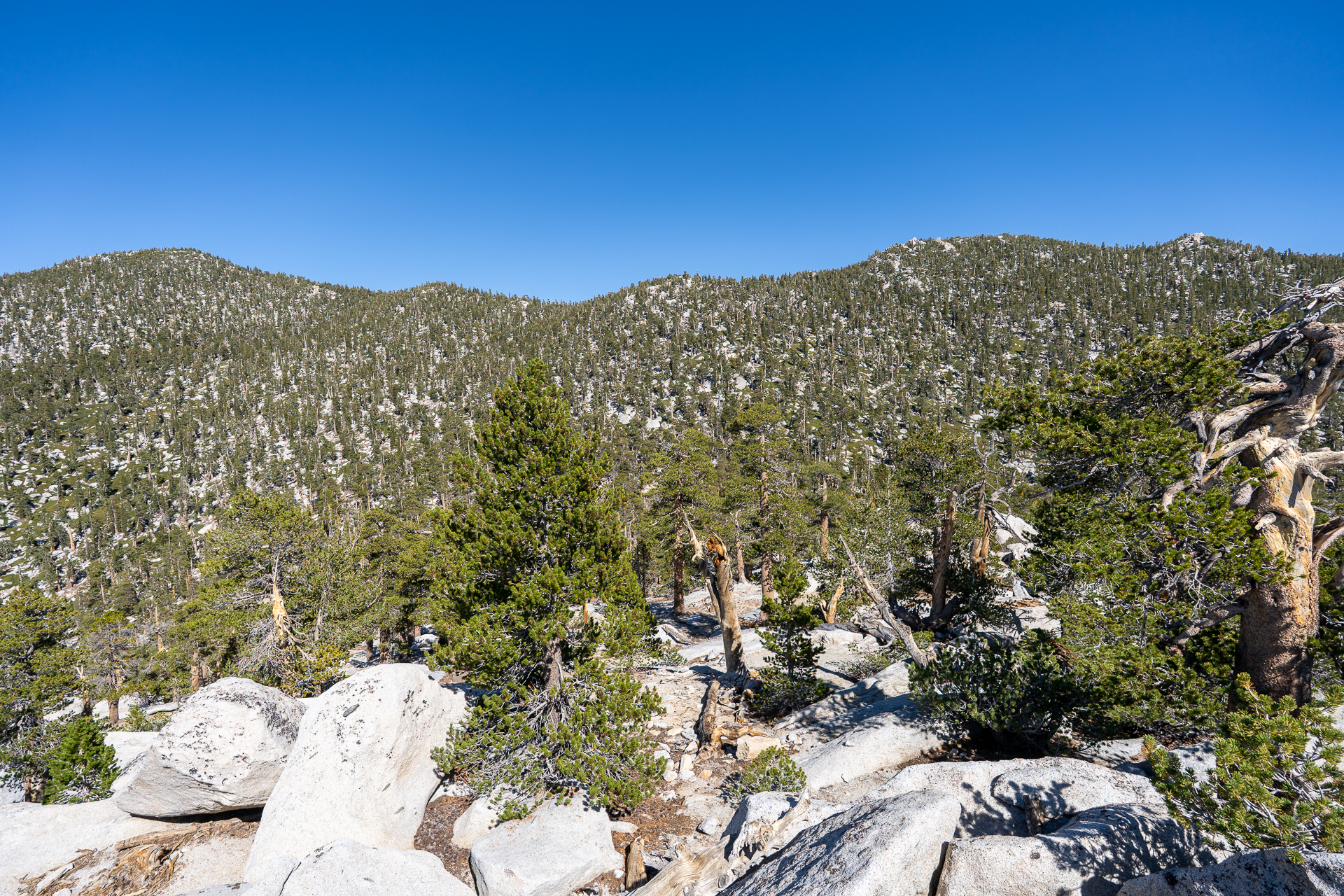 San Jacinto Mountains 10,000-foot Peaks Loop