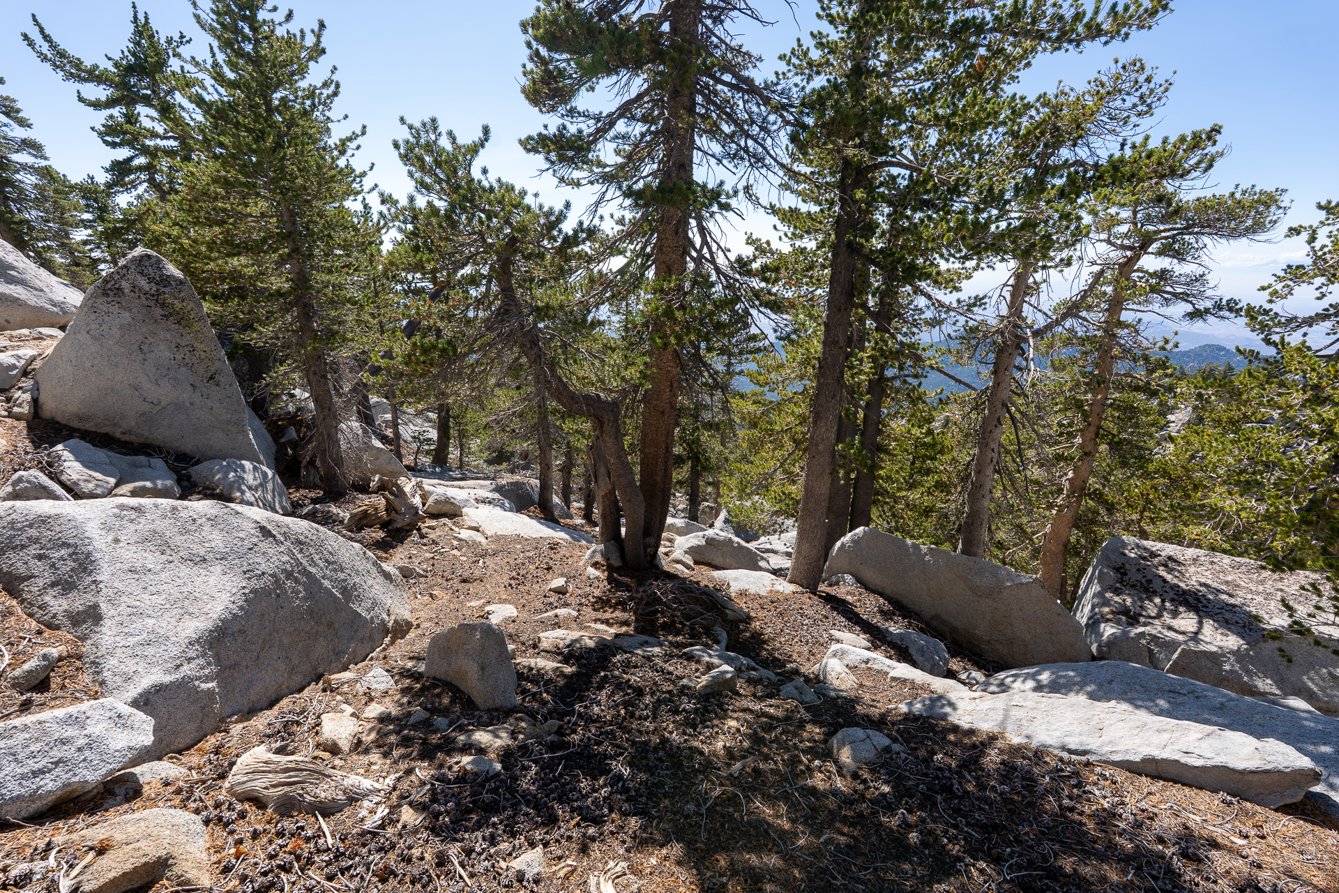San Jacinto Mountains 10,000-foot Peaks Loop