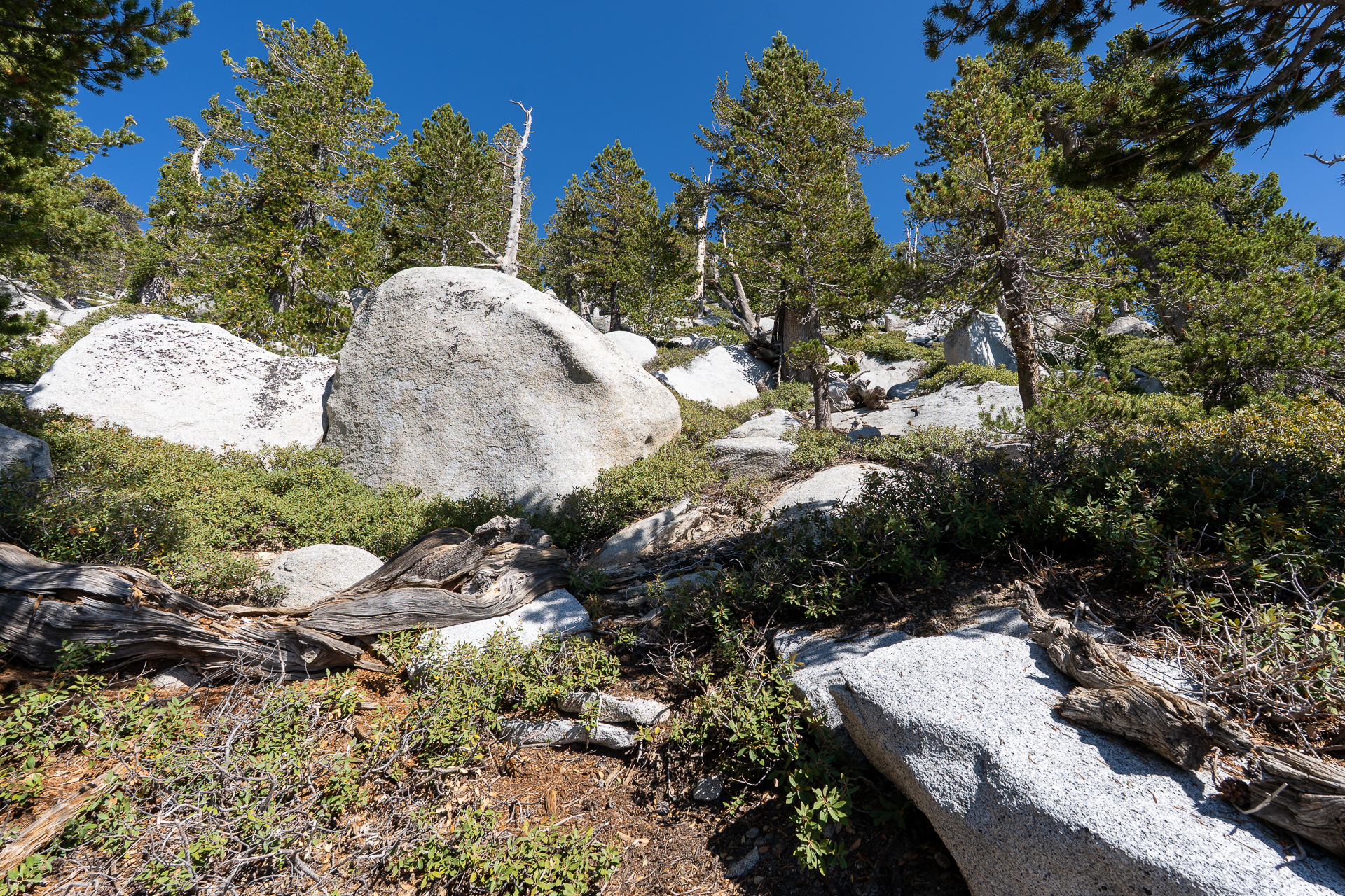 San Jacinto Mountains 10,000-foot Peaks Loop
