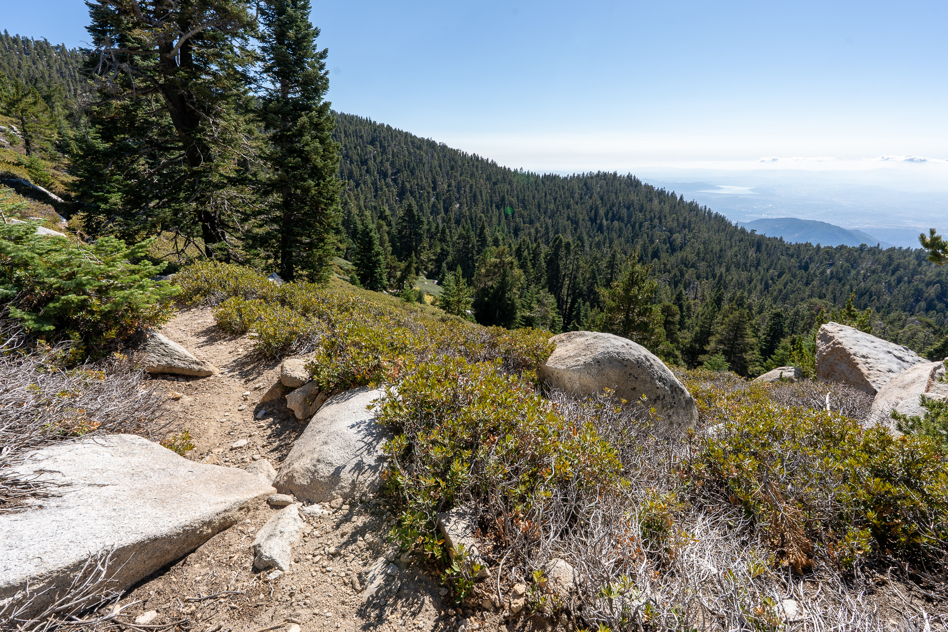 San Jacinto Mountains 10,000-foot Peaks Loop