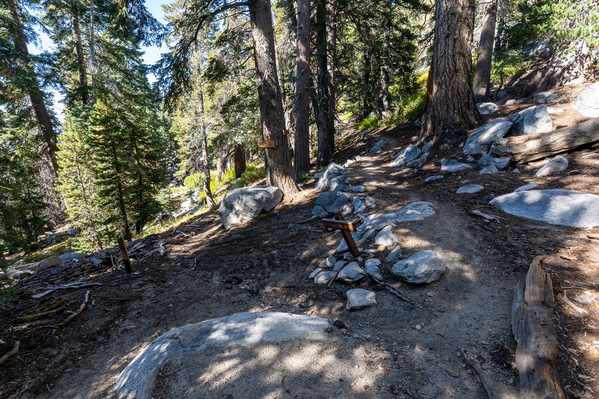 San Jacinto Mountains 10,000-foot Peaks Loop