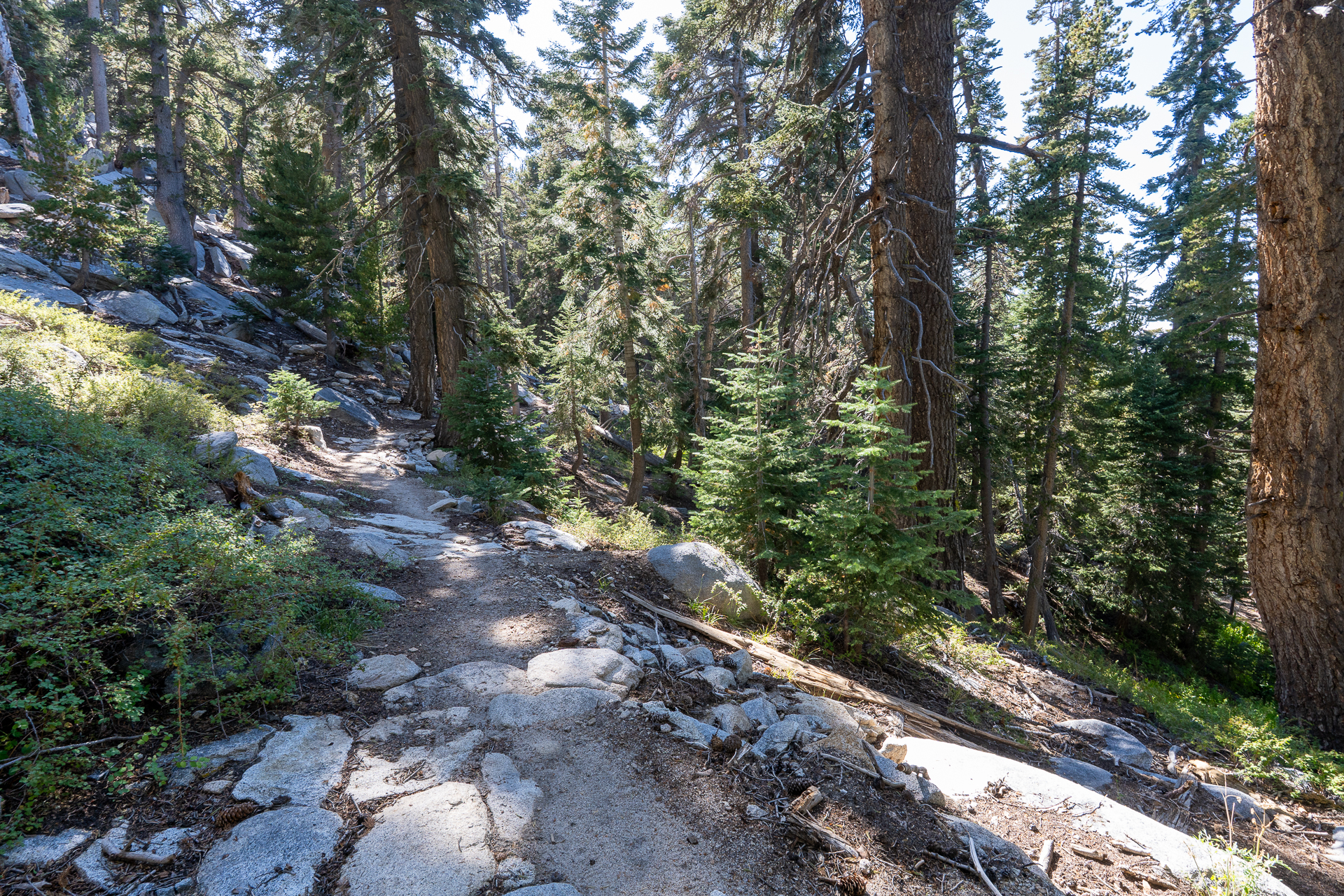 San Jacinto Mountains 10,000-foot Peaks Loop