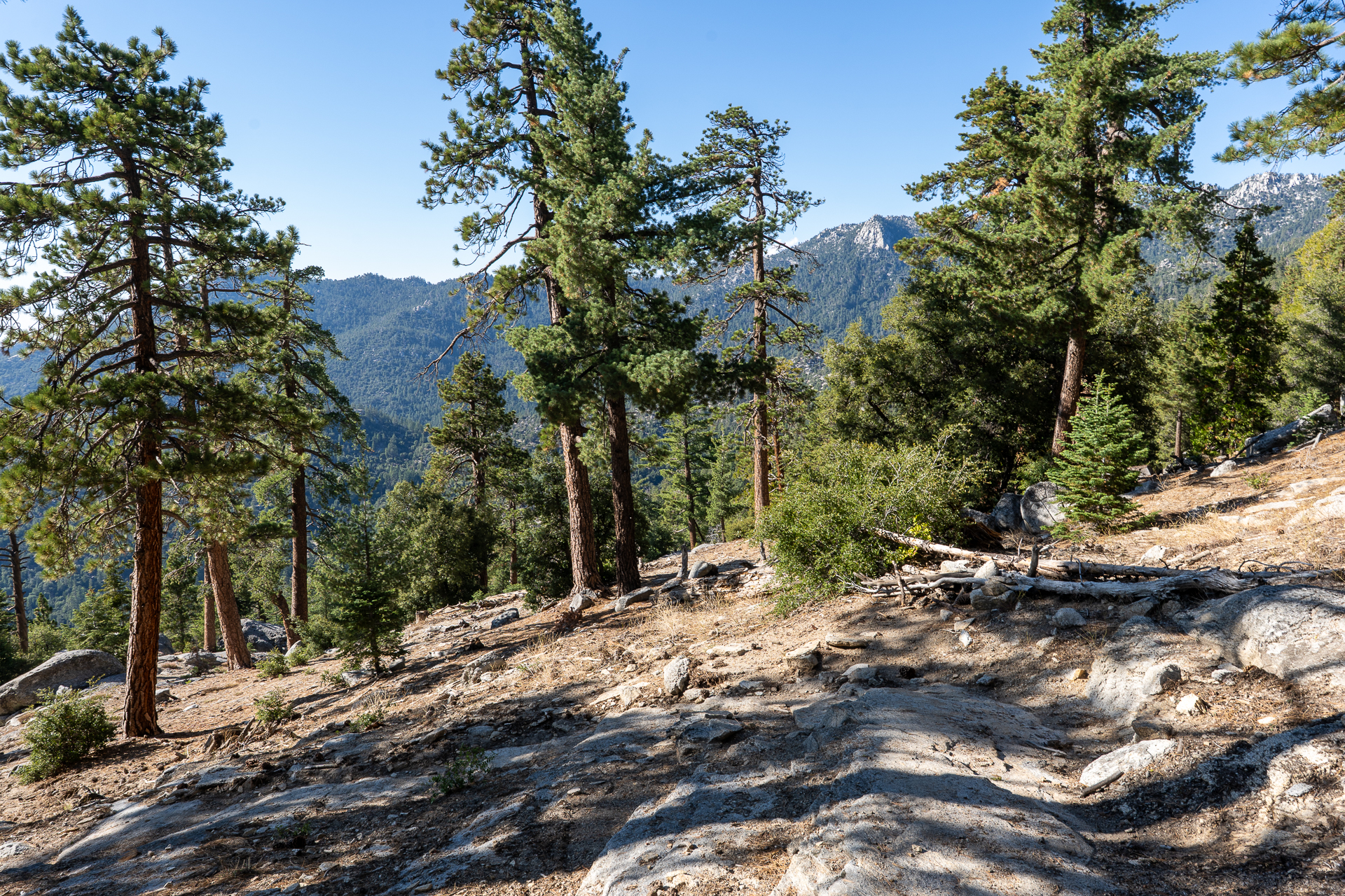 San Jacinto Mountains 10,000-foot Peaks Loop