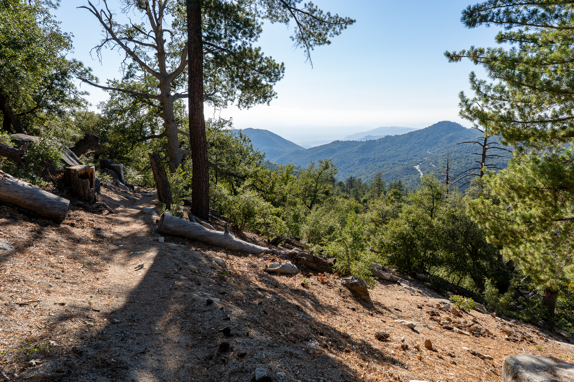 San Jacinto Mountains 10,000-foot Peaks Loop