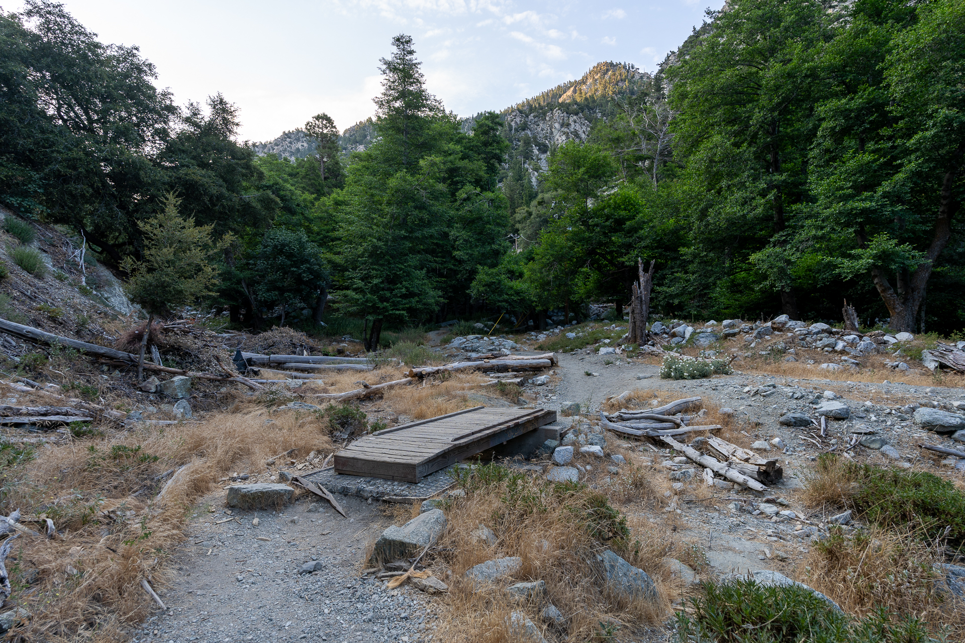 Trip report photo for Sugaloaf Peak, Ontario Peak, and Bighorn Peak Loop
