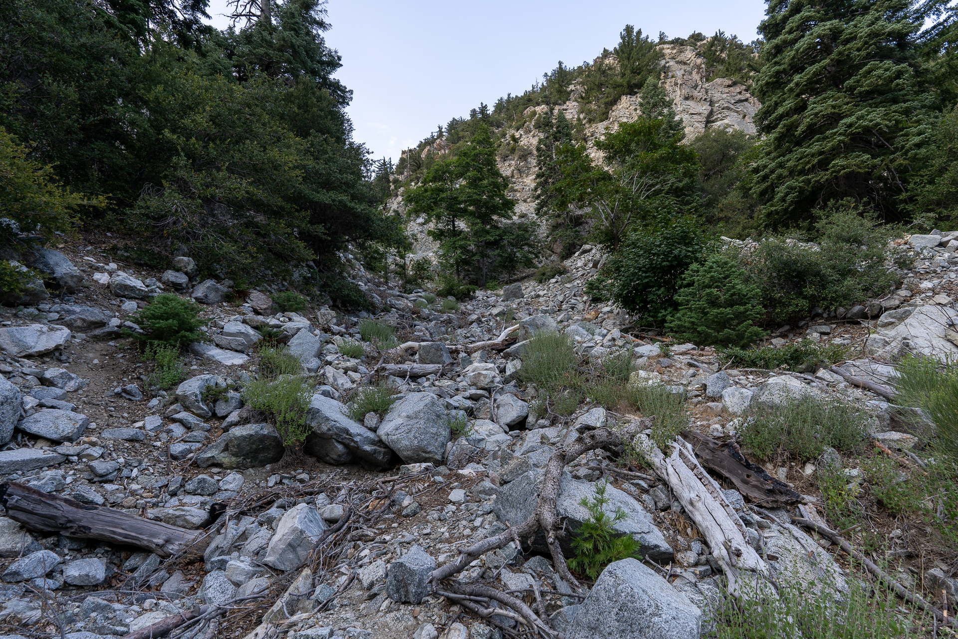 Trip report photo for Sugaloaf Peak, Ontario Peak, and Bighorn Peak Loop