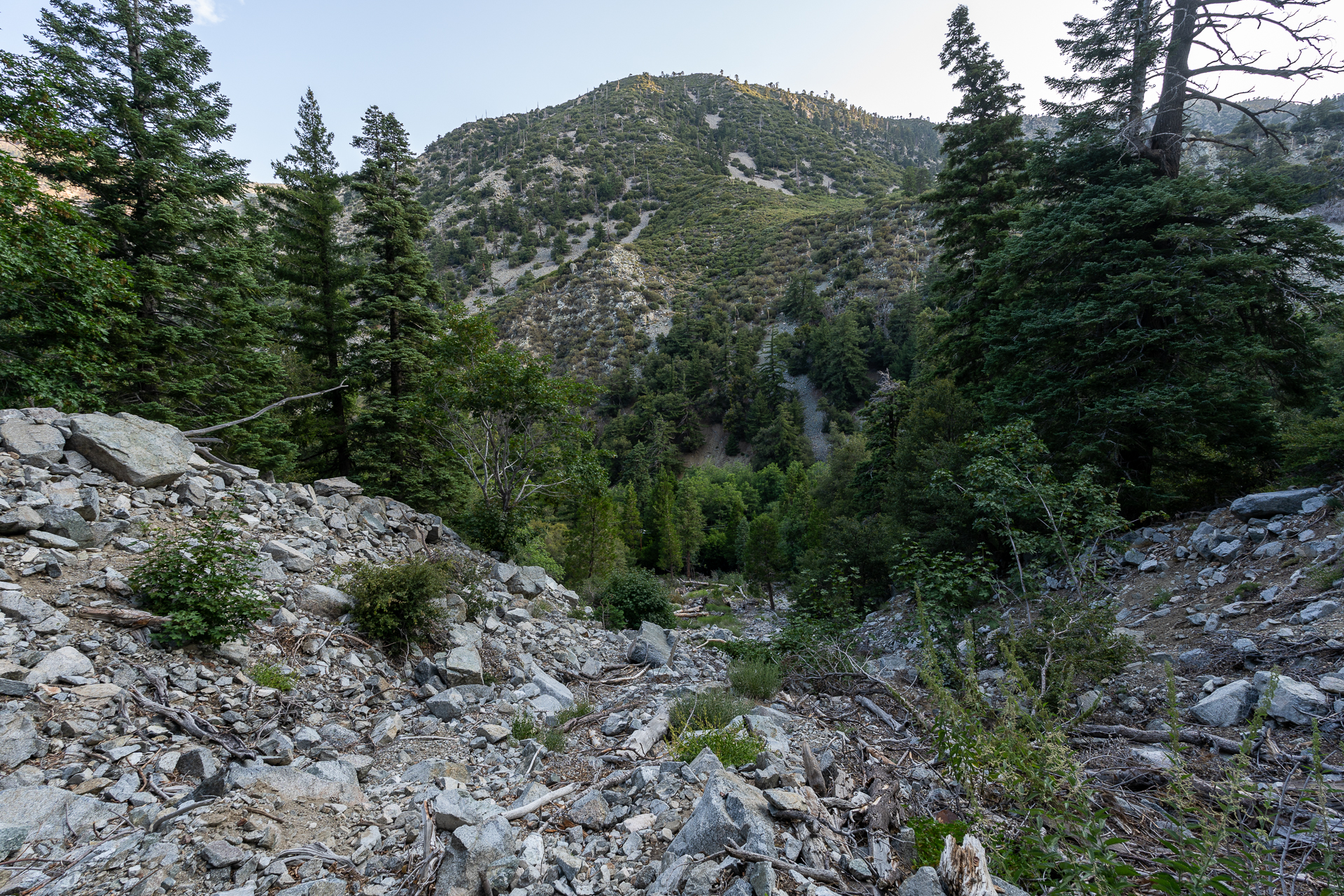 Trip report photo for Sugaloaf Peak, Ontario Peak, and Bighorn Peak Loop
