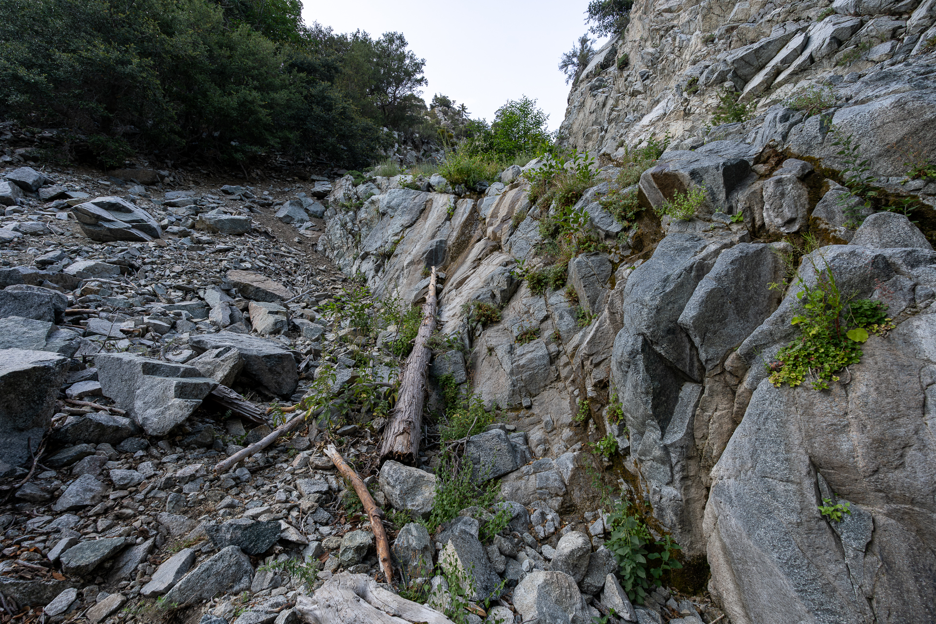 Trip report photo for Sugaloaf Peak, Ontario Peak, and Bighorn Peak Loop
