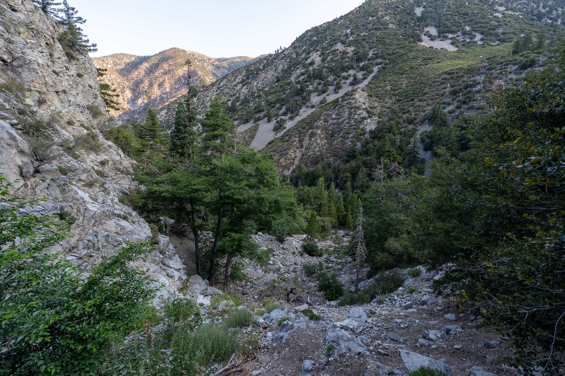 Trip report photo for Sugaloaf Peak, Ontario Peak, and Bighorn Peak Loop