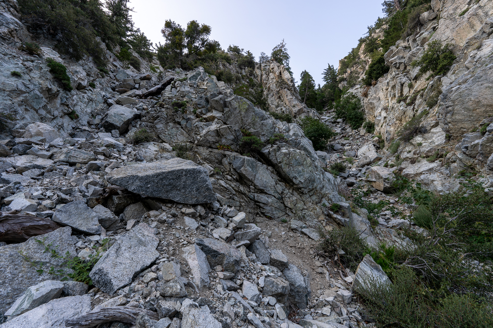 Trip report photo for Sugaloaf Peak, Ontario Peak, and Bighorn Peak Loop