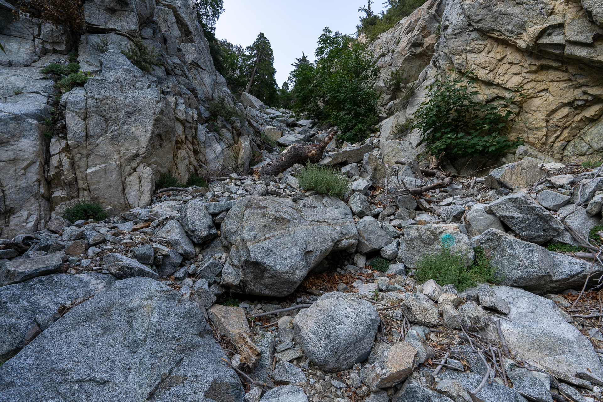 Trip report photo for Sugaloaf Peak, Ontario Peak, and Bighorn Peak Loop