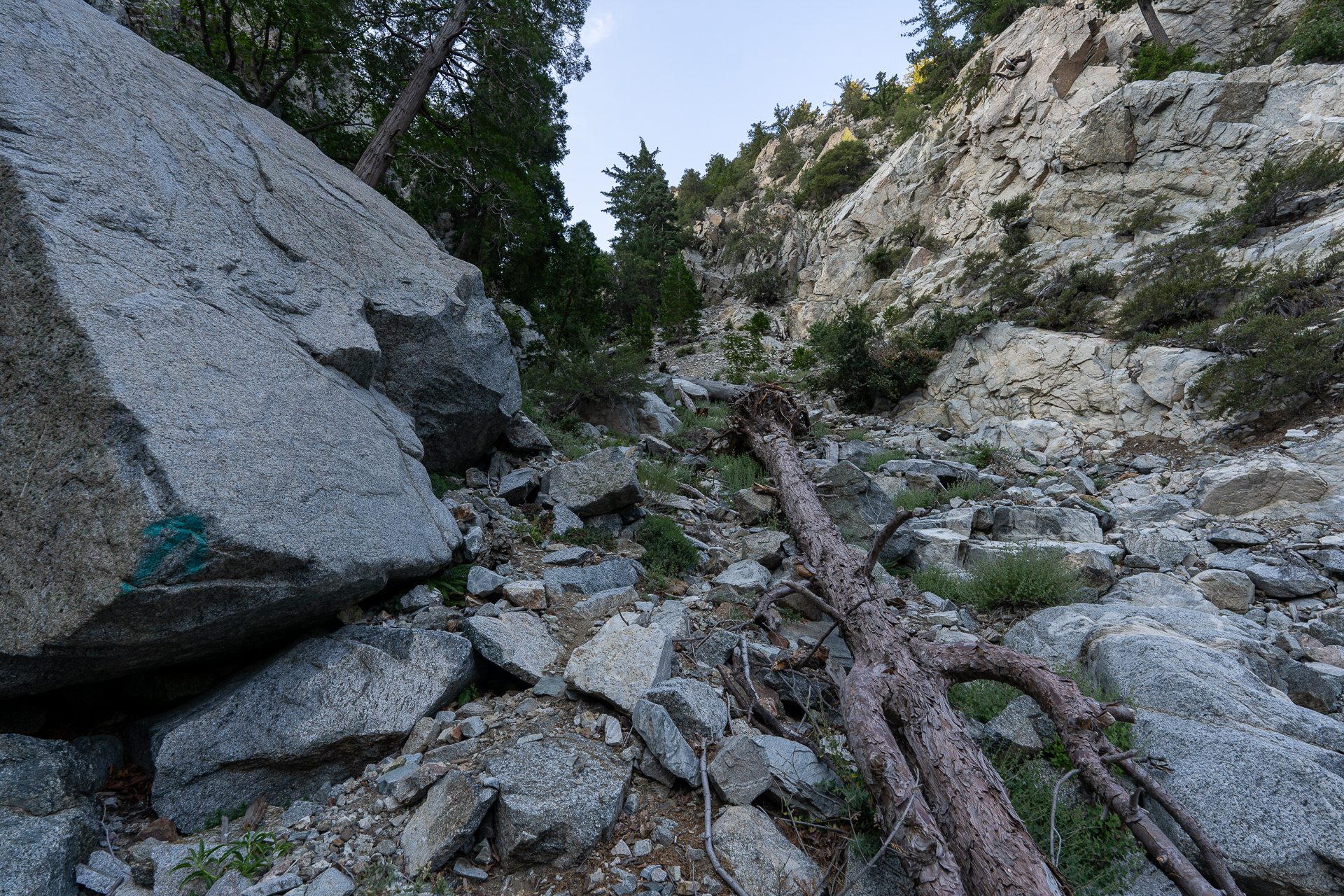 Trip report photo for Sugaloaf Peak, Ontario Peak, and Bighorn Peak Loop