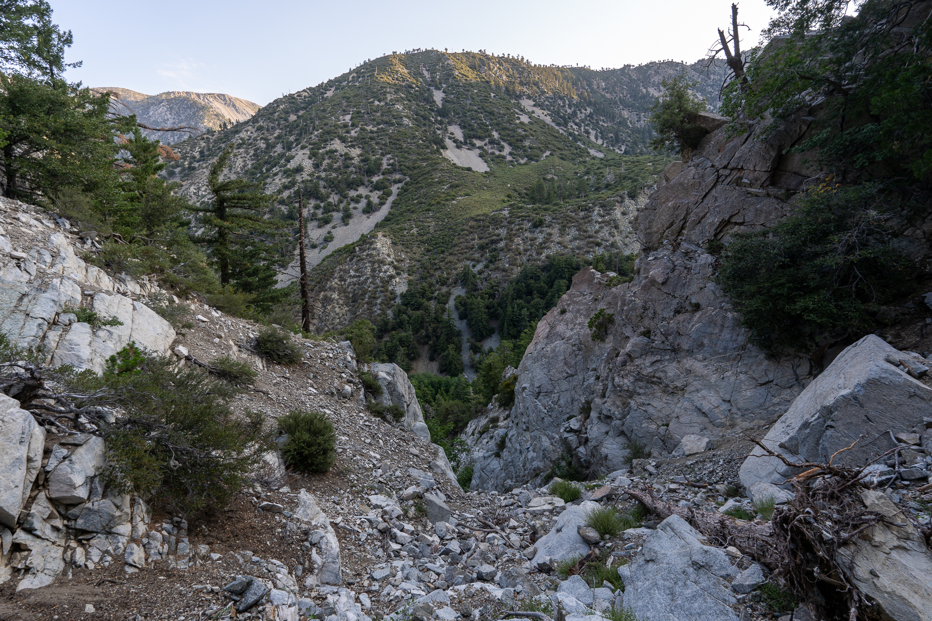 Trip report photo for Sugaloaf Peak, Ontario Peak, and Bighorn Peak Loop