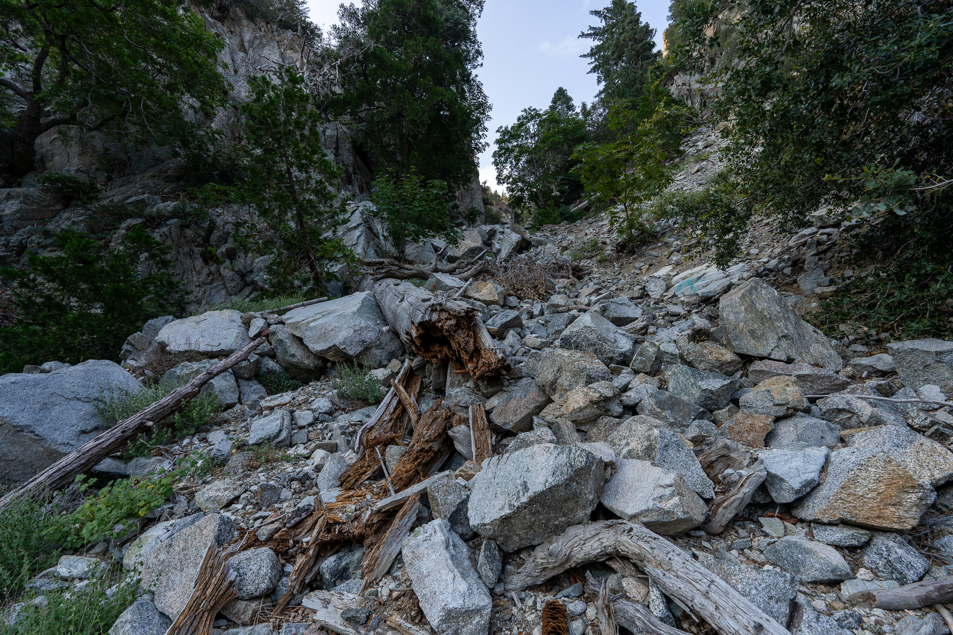 Trip report photo for Sugaloaf Peak, Ontario Peak, and Bighorn Peak Loop