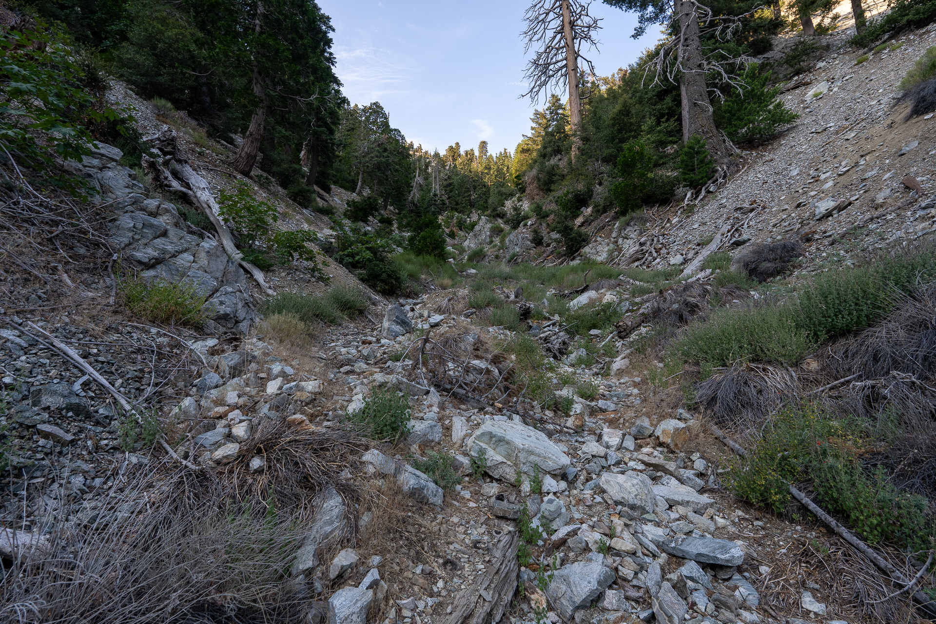 Trip report photo for Sugaloaf Peak, Ontario Peak, and Bighorn Peak Loop