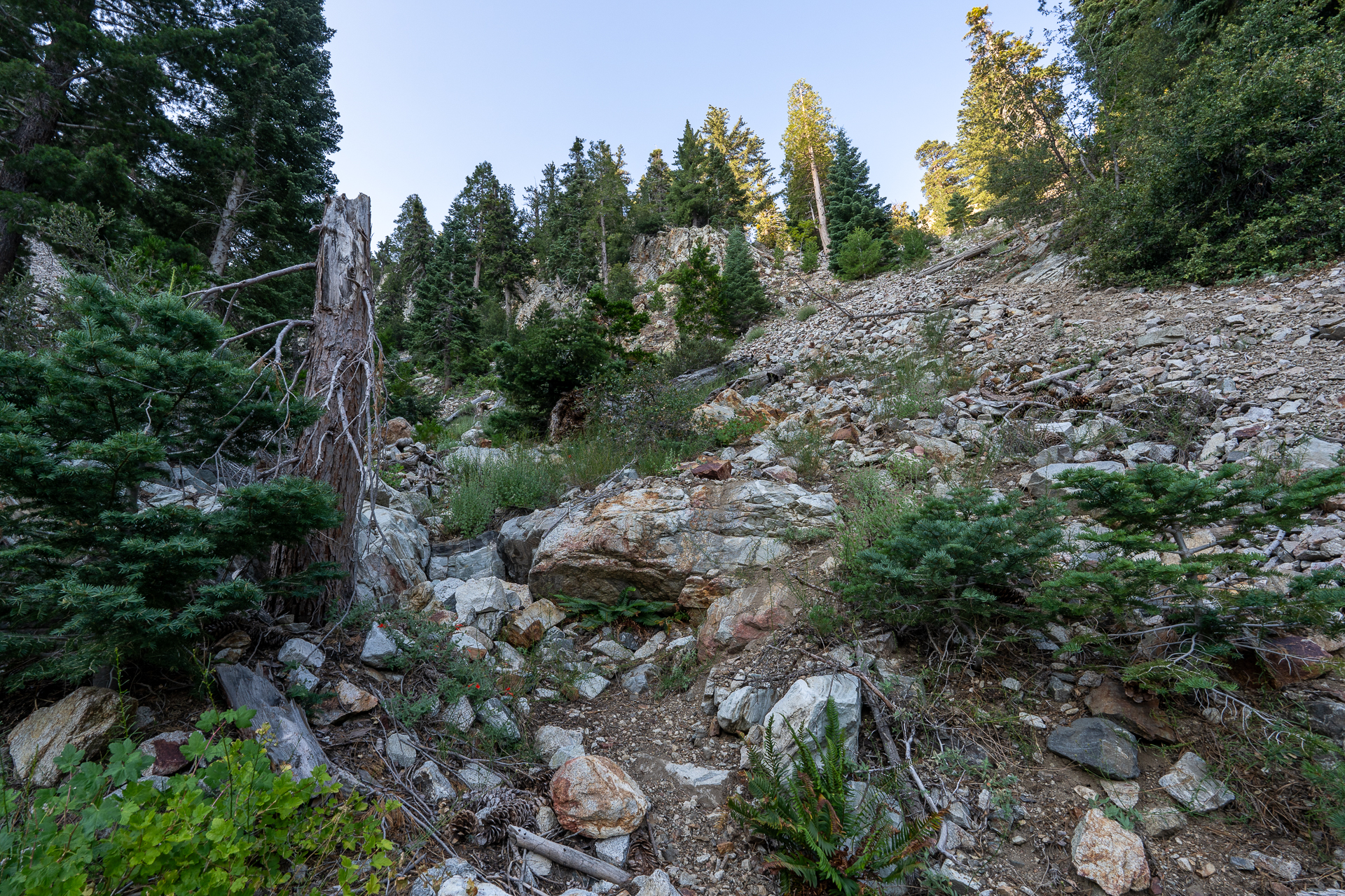 Trip report photo for Sugaloaf Peak, Ontario Peak, and Bighorn Peak Loop