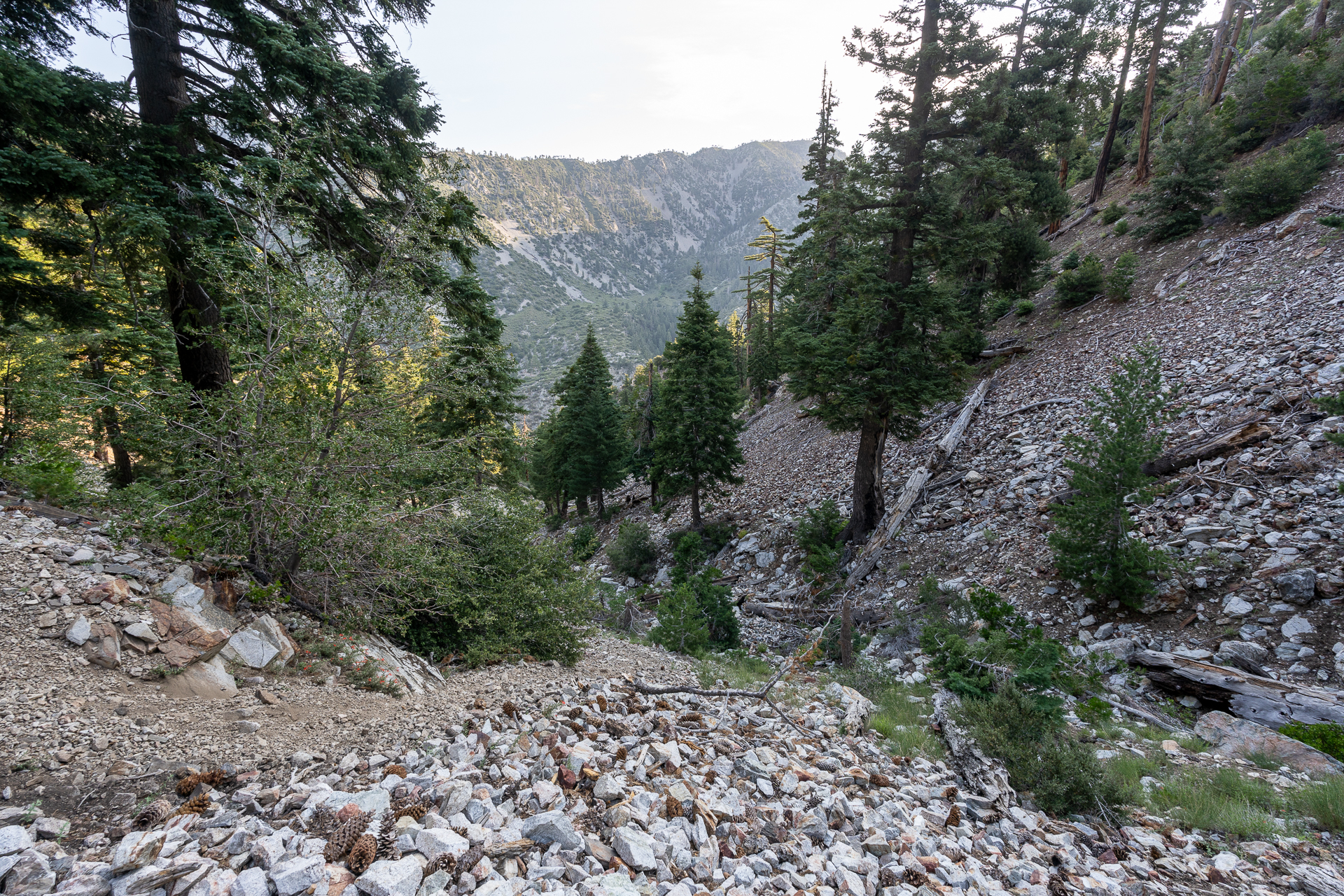 Trip report photo for Sugaloaf Peak, Ontario Peak, and Bighorn Peak Loop