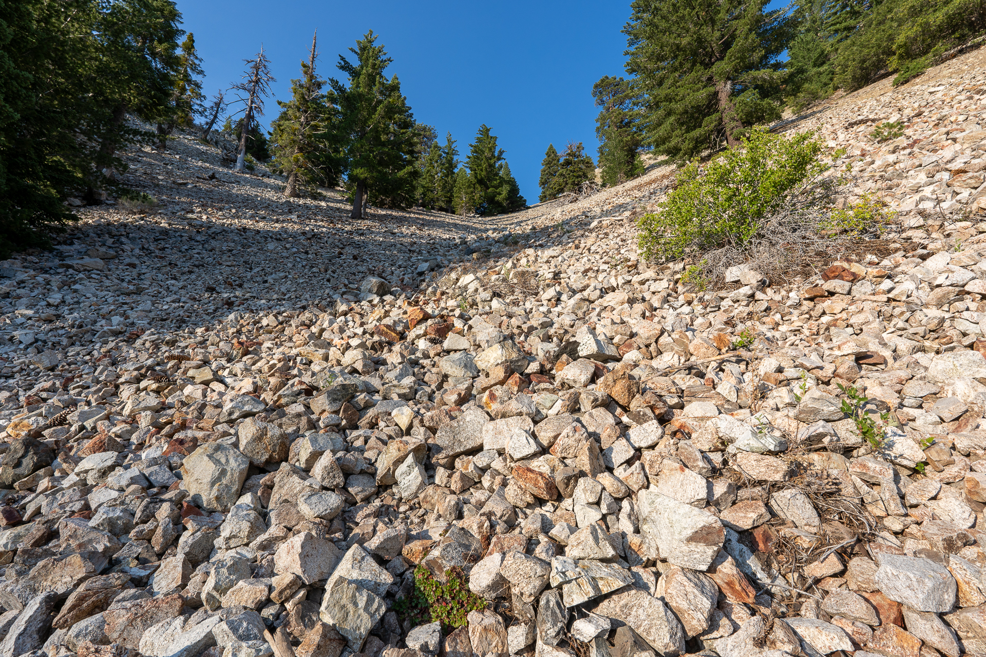 Trip report photo for Sugaloaf Peak, Ontario Peak, and Bighorn Peak Loop