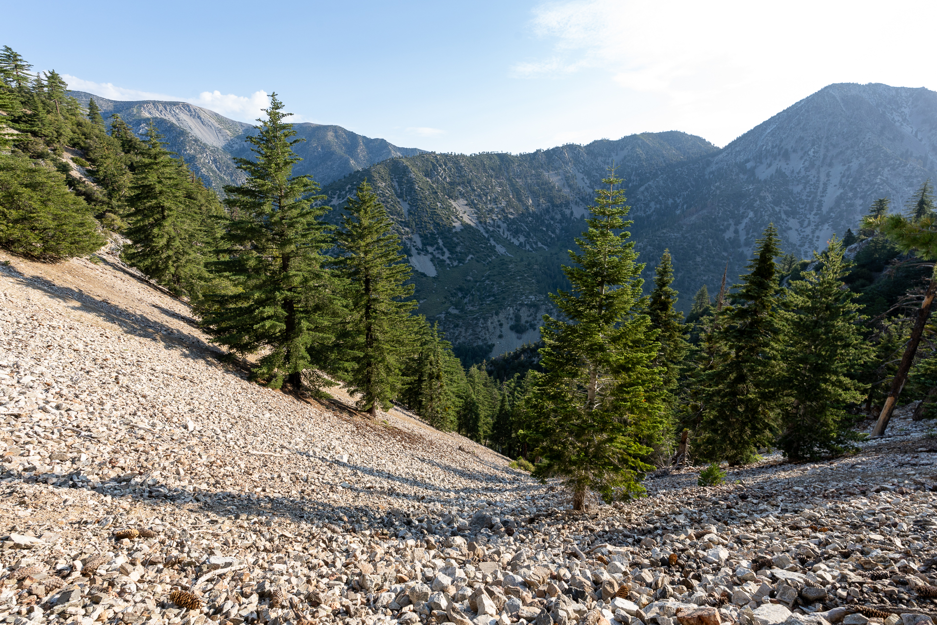 Trip report photo for Sugaloaf Peak, Ontario Peak, and Bighorn Peak Loop