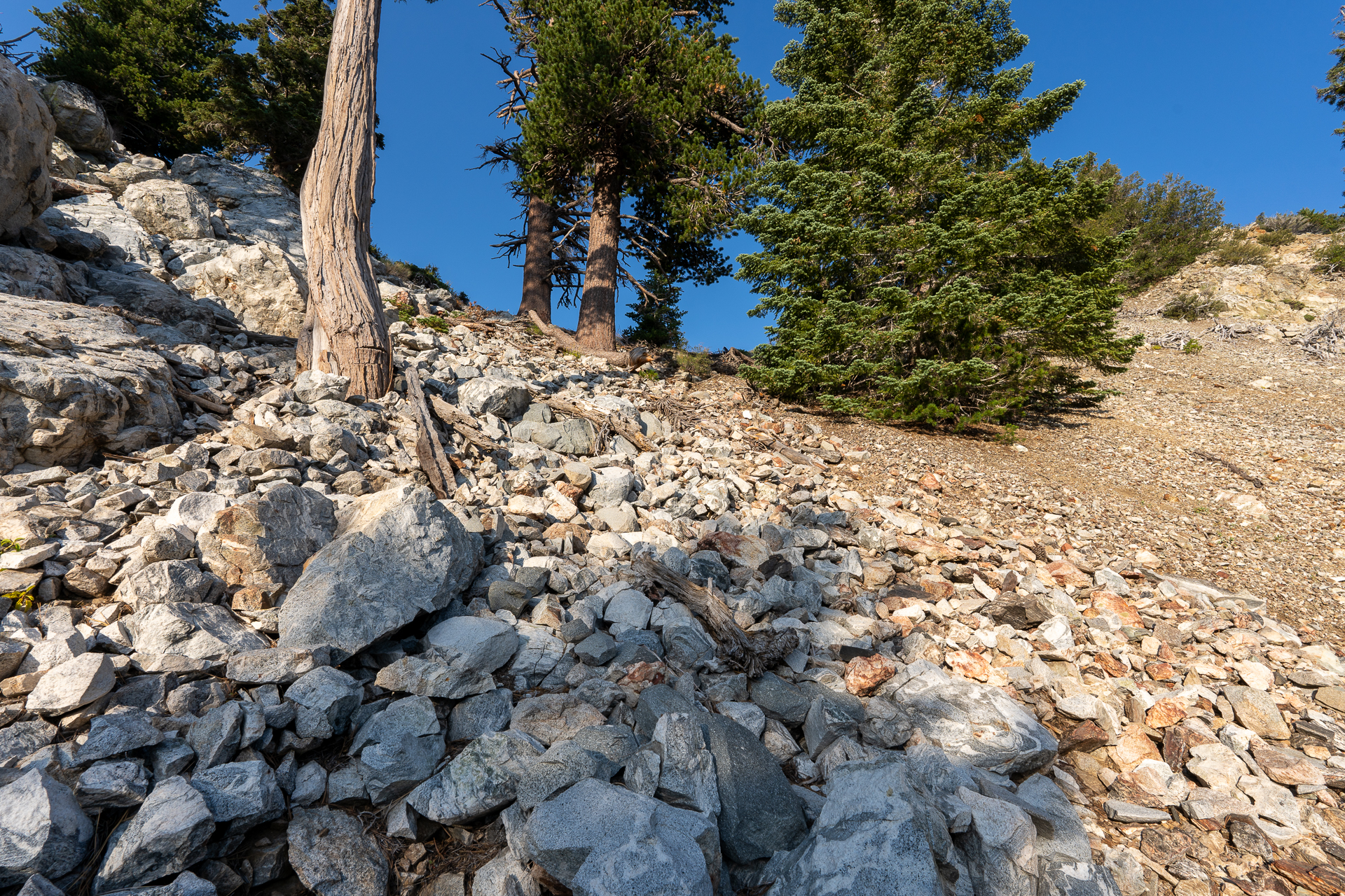 Trip report photo for Sugaloaf Peak, Ontario Peak, and Bighorn Peak Loop
