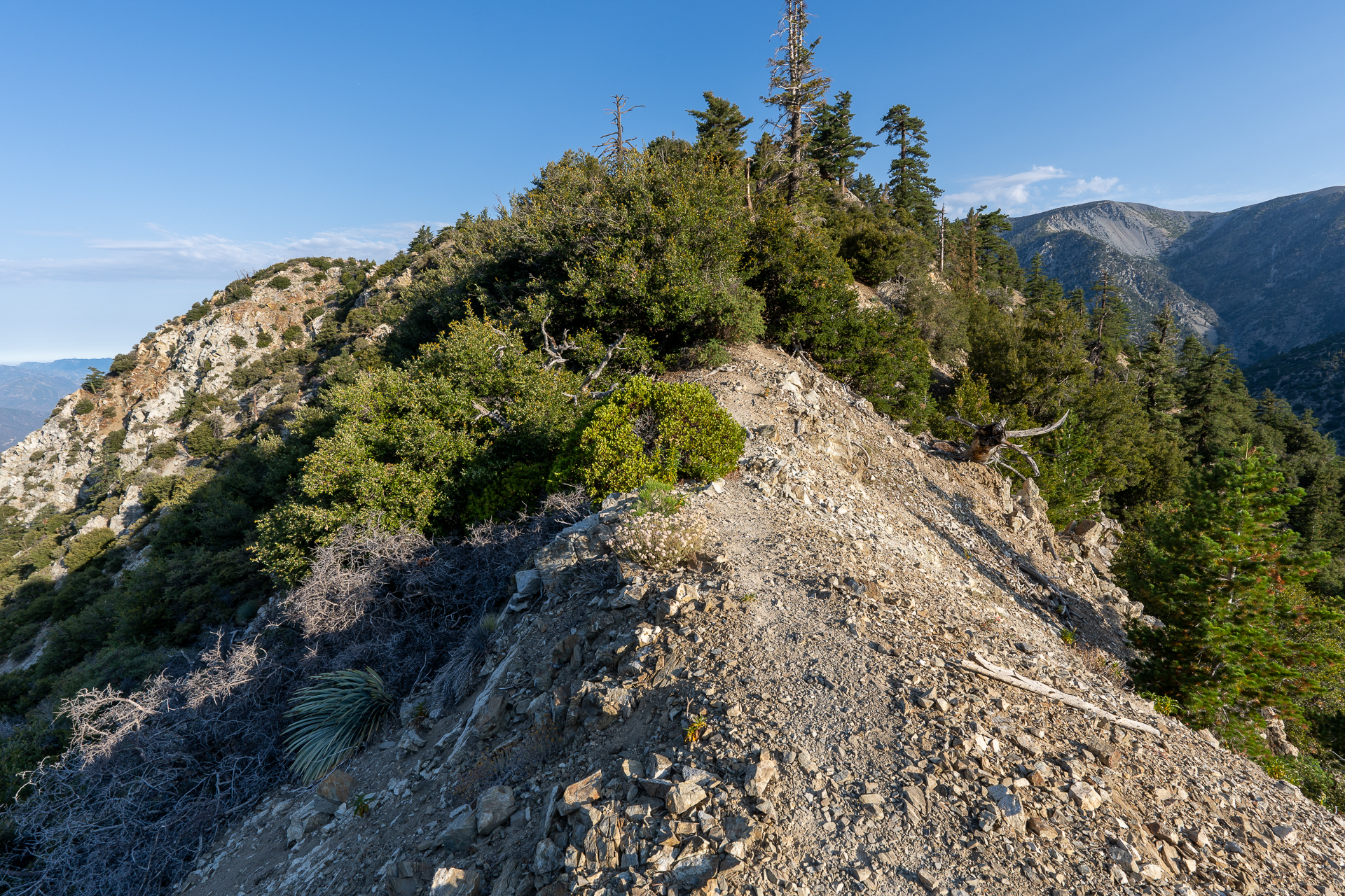 Trip report photo for Sugaloaf Peak, Ontario Peak, and Bighorn Peak Loop