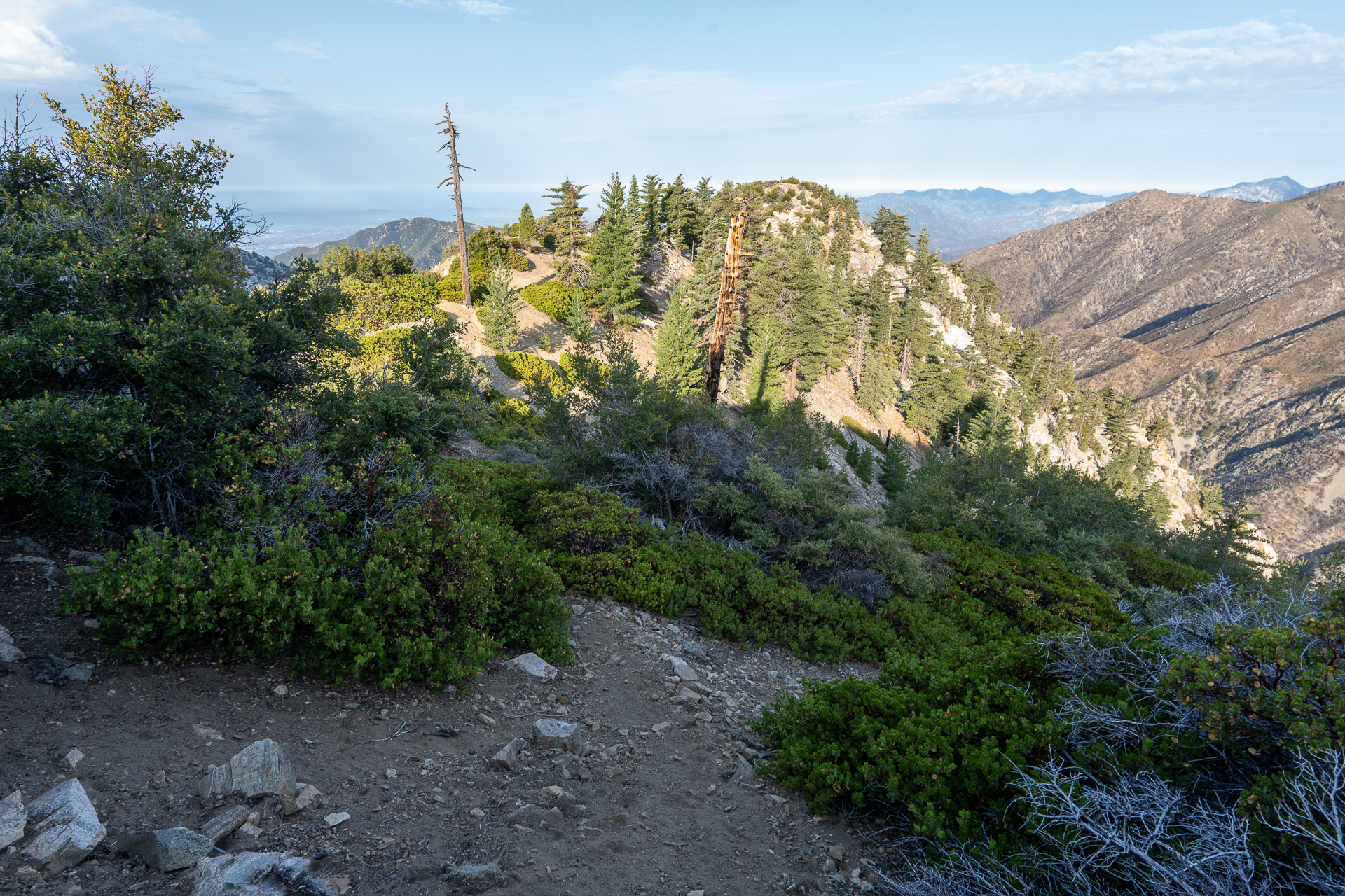 Trip report photo for Sugaloaf Peak, Ontario Peak, and Bighorn Peak Loop