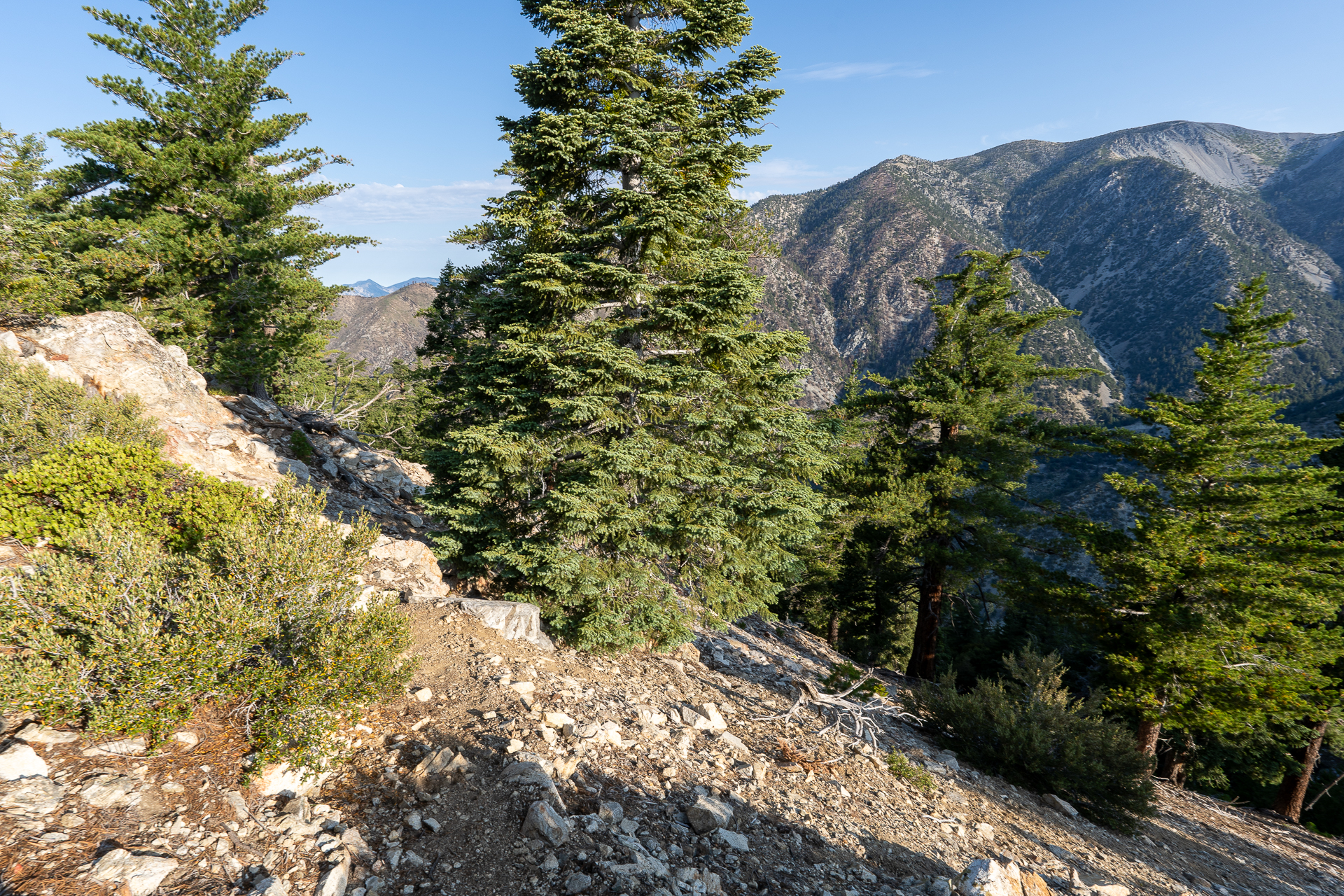 Trip report photo for Sugaloaf Peak, Ontario Peak, and Bighorn Peak Loop