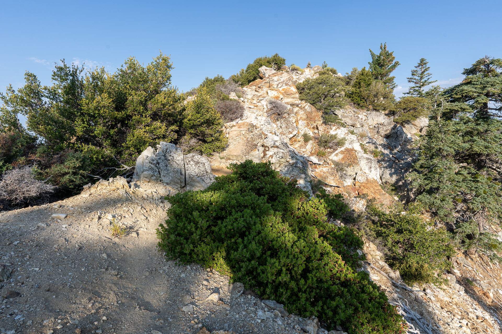 Trip report photo for Sugaloaf Peak, Ontario Peak, and Bighorn Peak Loop