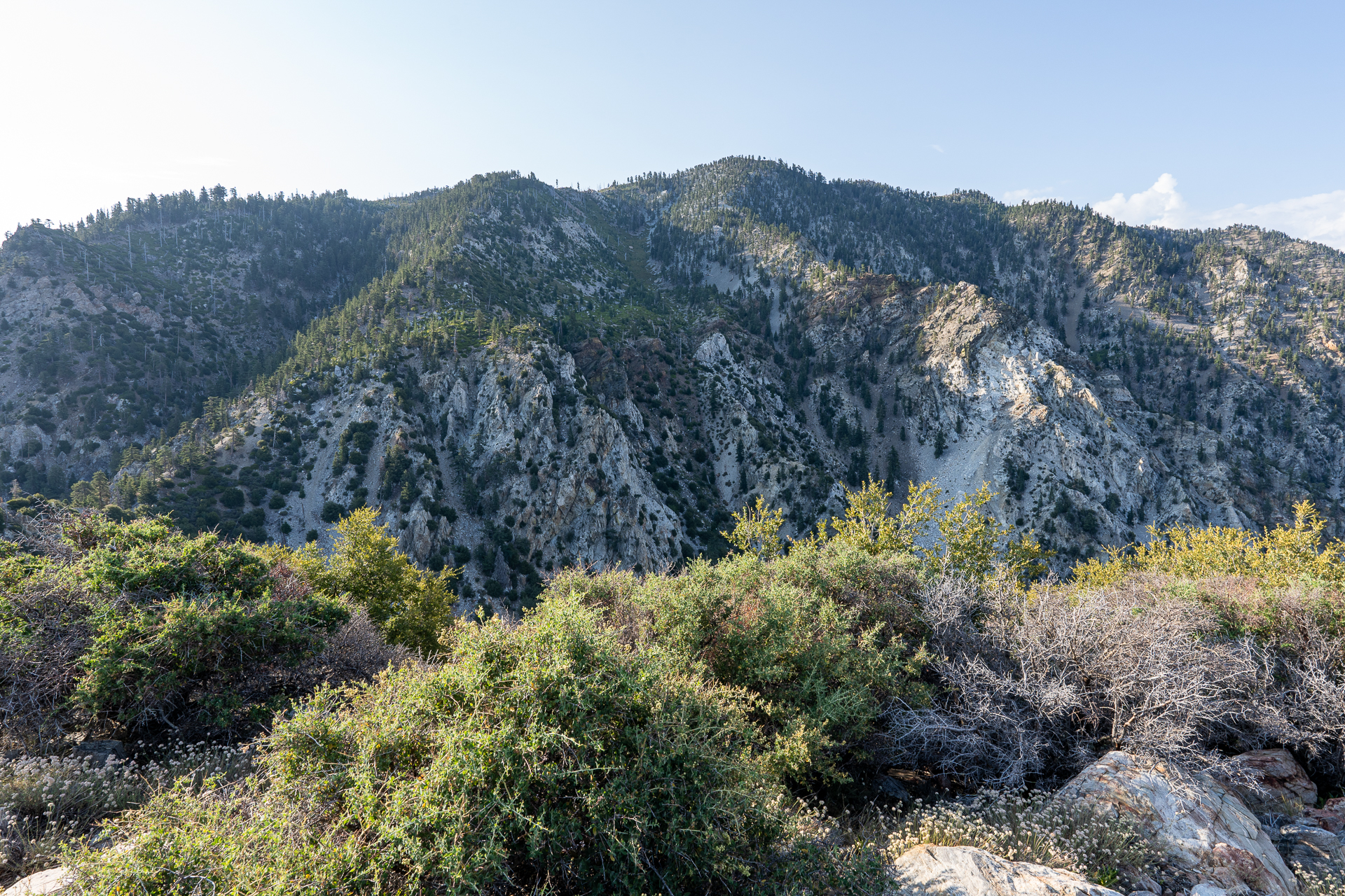 Trip report photo for Sugaloaf Peak, Ontario Peak, and Bighorn Peak Loop