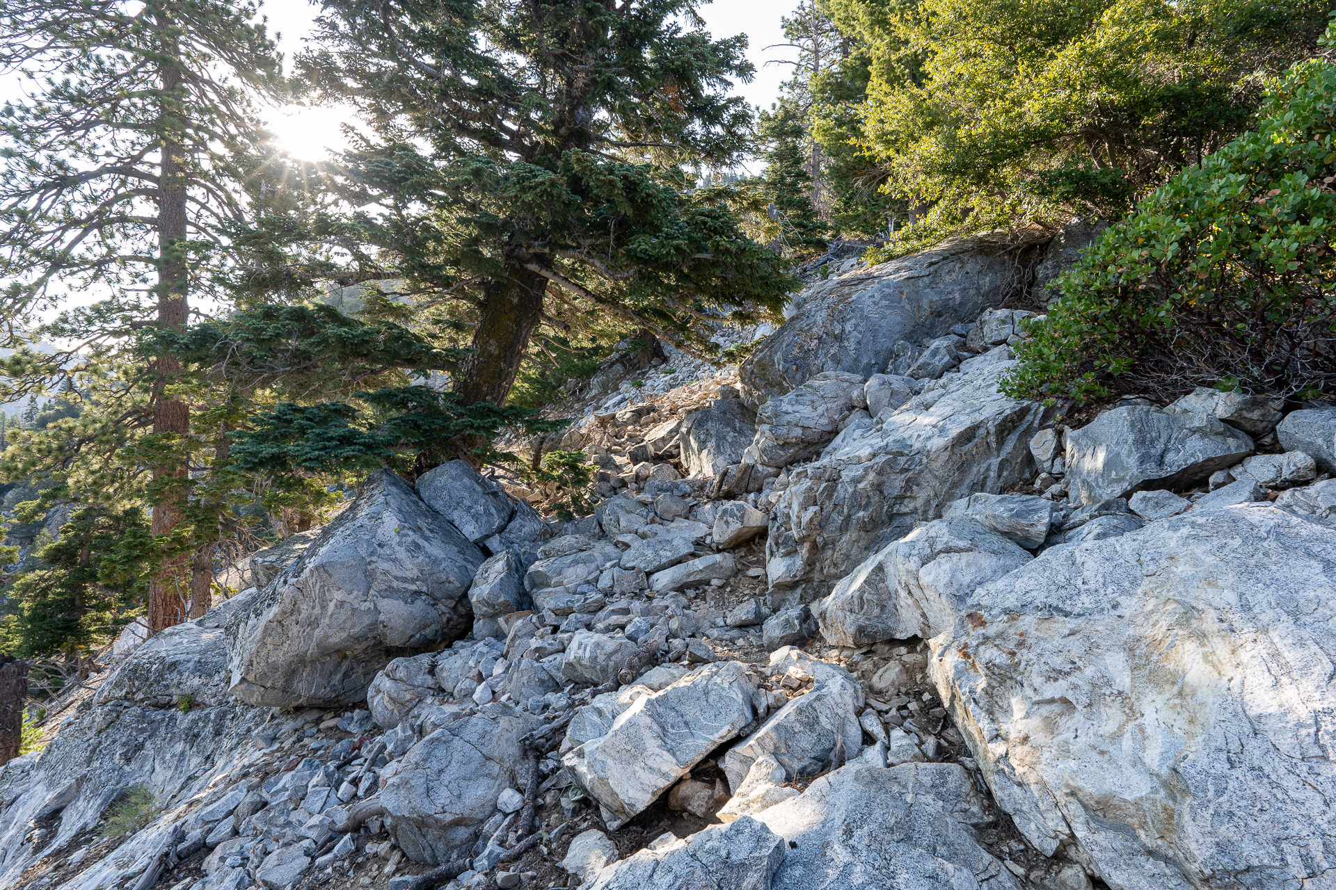 Trip report photo for Sugaloaf Peak, Ontario Peak, and Bighorn Peak Loop