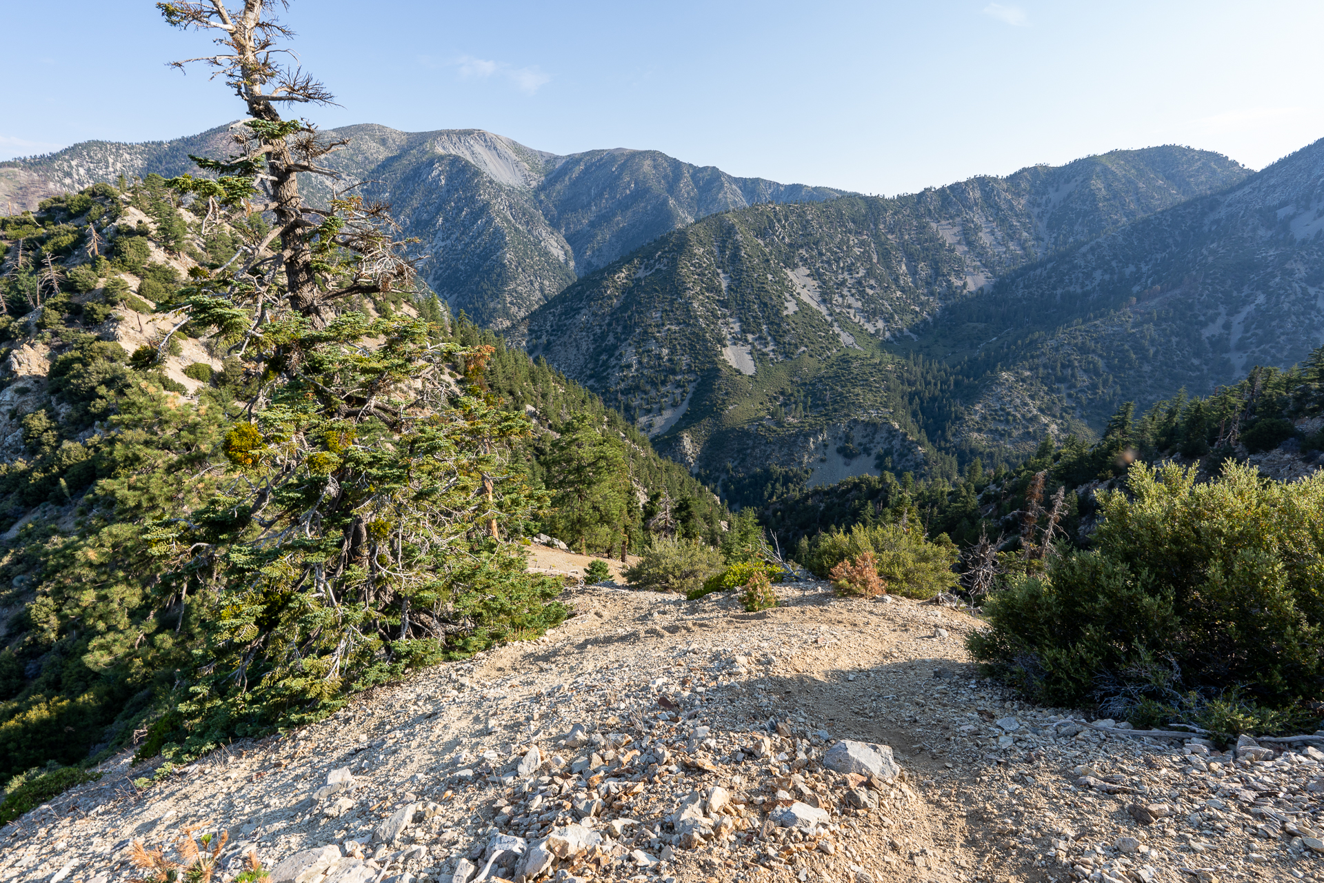 Trip report photo for Sugaloaf Peak, Ontario Peak, and Bighorn Peak Loop