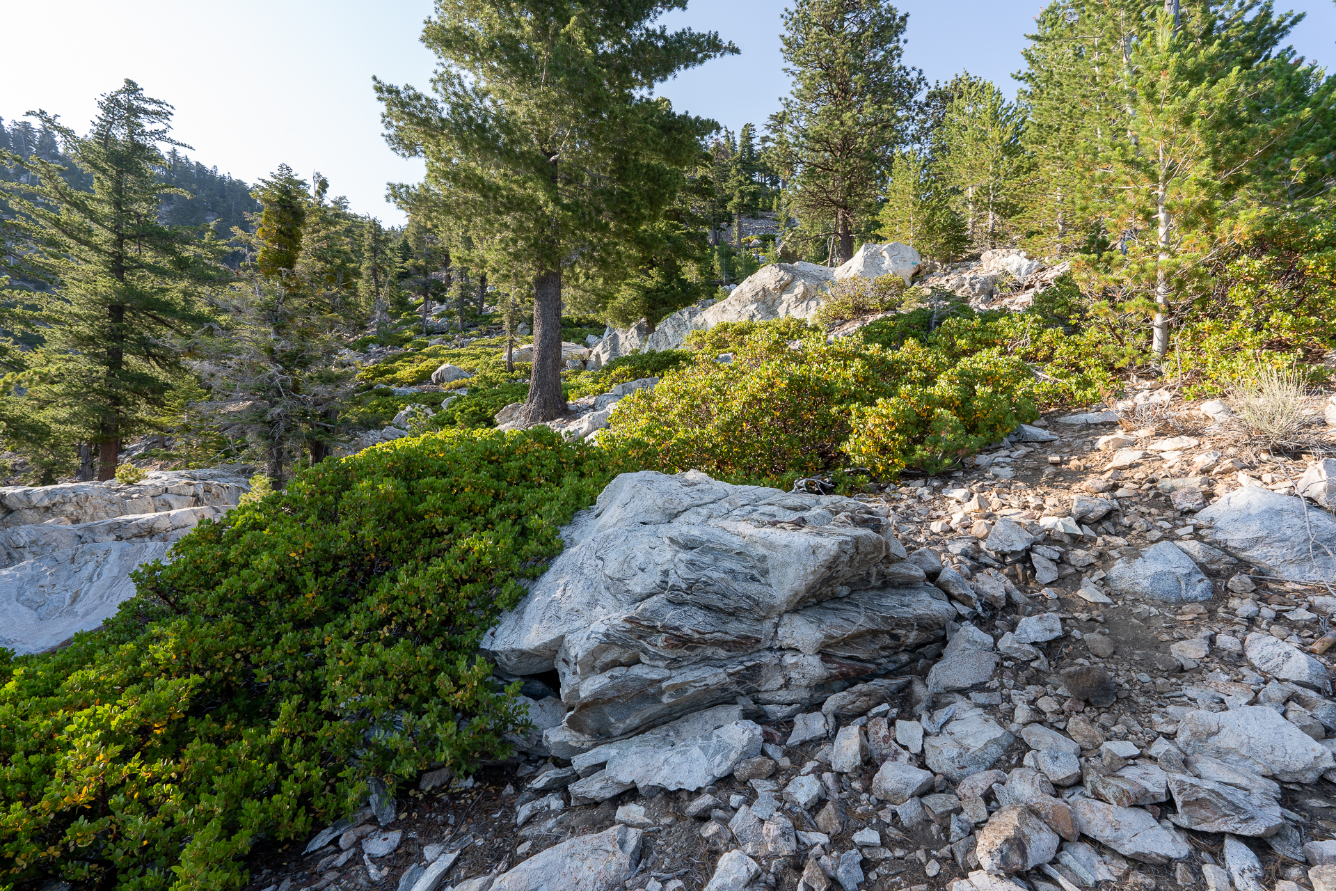 Trip report photo for Sugaloaf Peak, Ontario Peak, and Bighorn Peak Loop