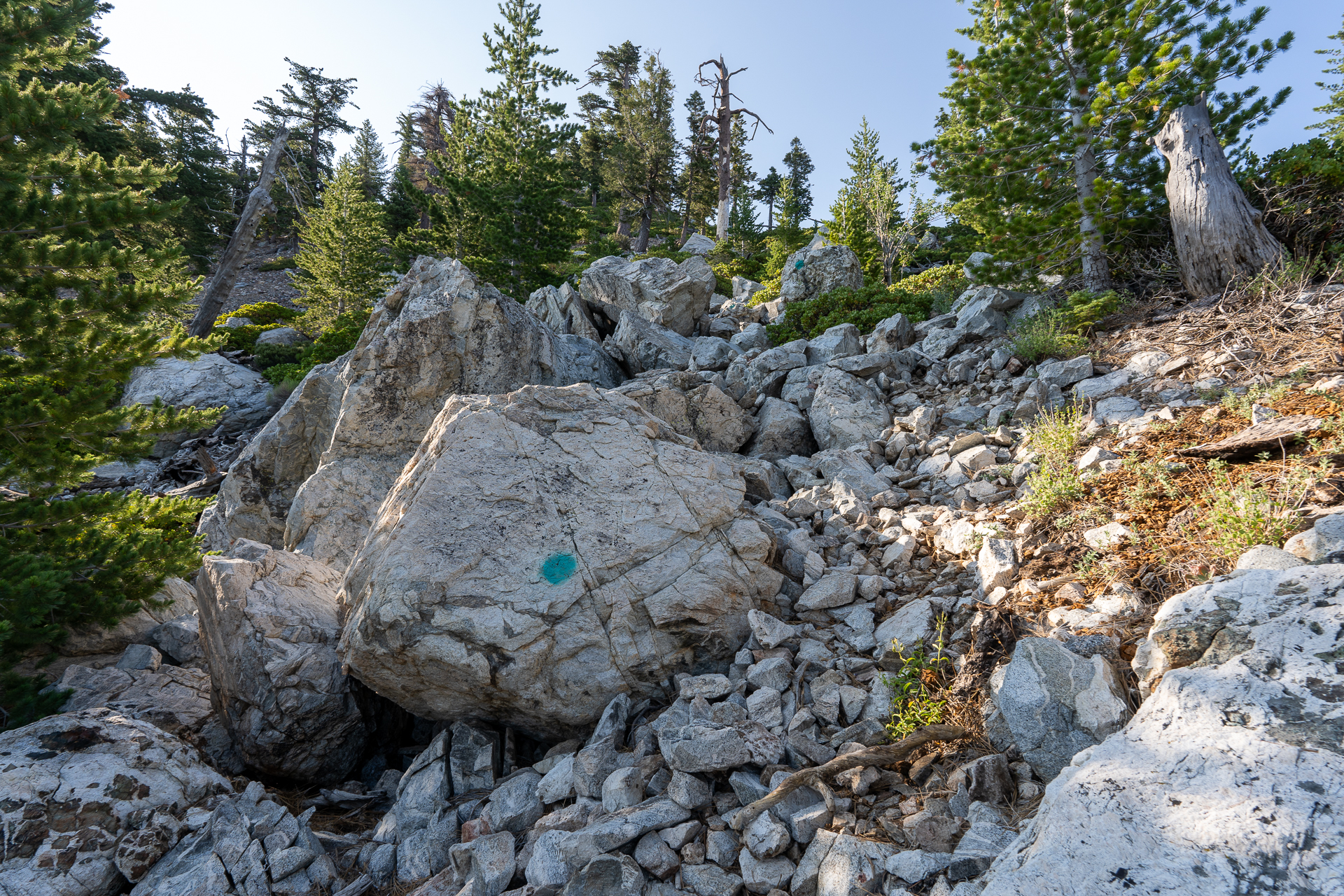 Trip report photo for Sugaloaf Peak, Ontario Peak, and Bighorn Peak Loop