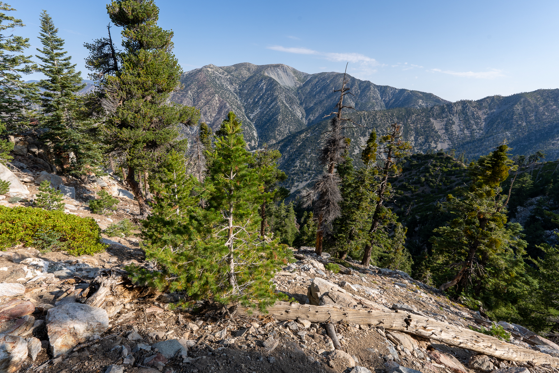 Trip report photo for Sugaloaf Peak, Ontario Peak, and Bighorn Peak Loop