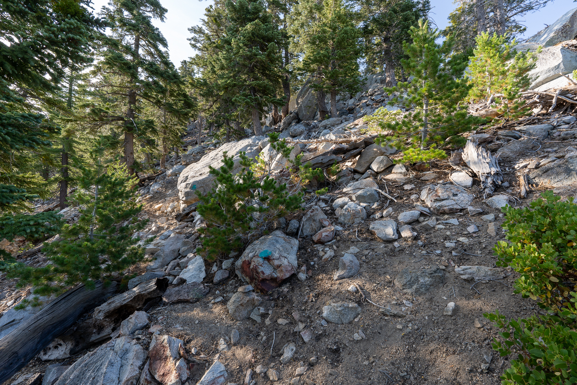 Trip report photo for Sugaloaf Peak, Ontario Peak, and Bighorn Peak Loop