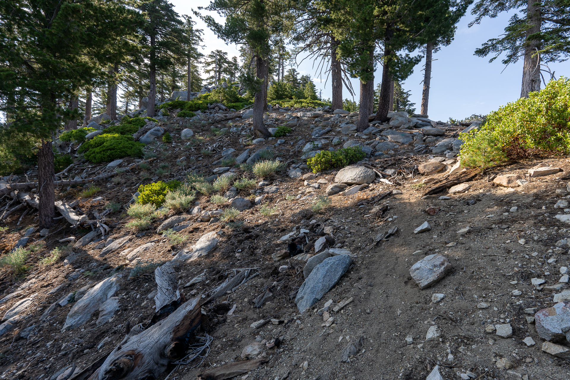 Sugaloaf Peak, Ontario Peak, and Bighorn Peak Loop via Falling Rock Canyon