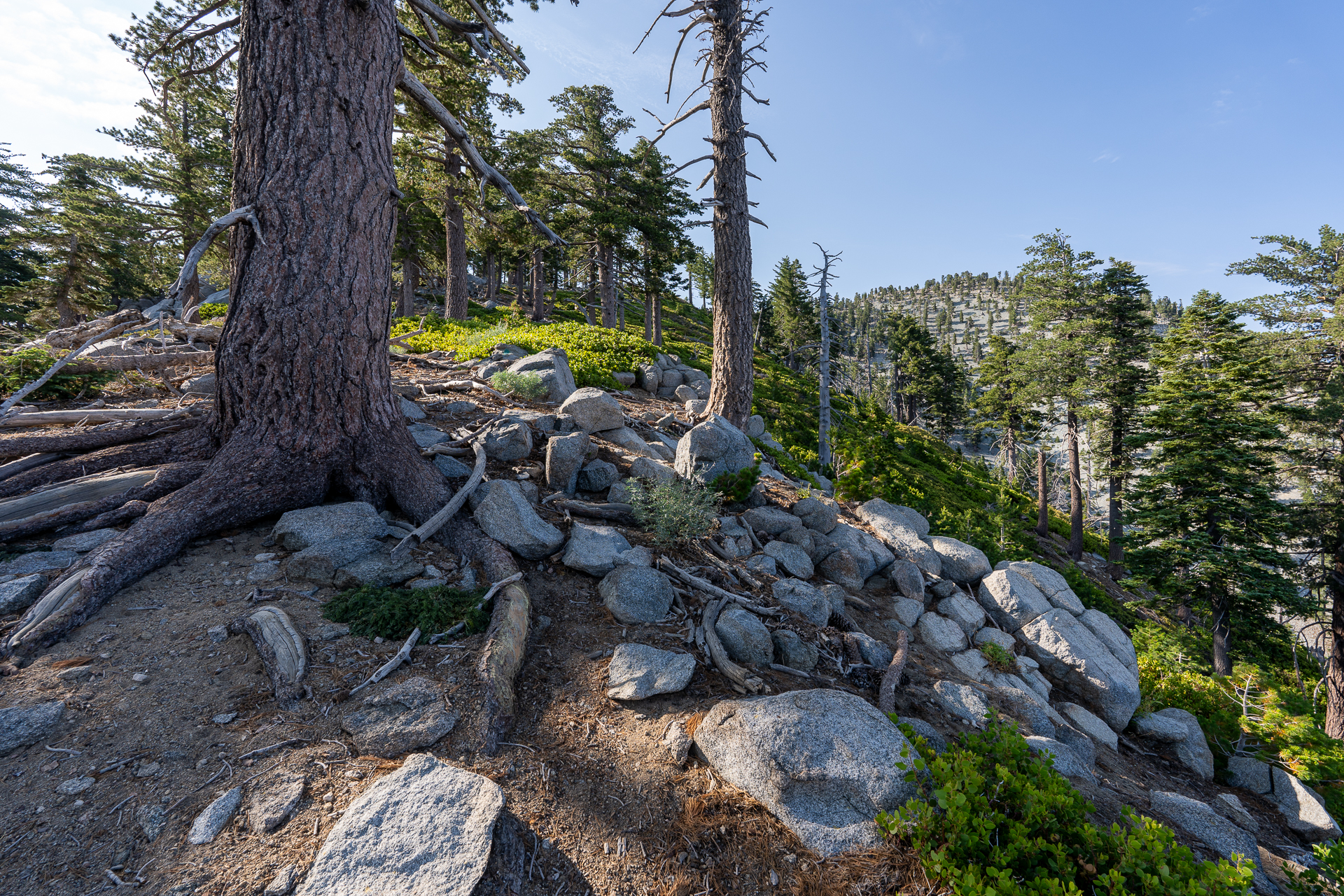 Trip report photo for Sugaloaf Peak, Ontario Peak, and Bighorn Peak Loop